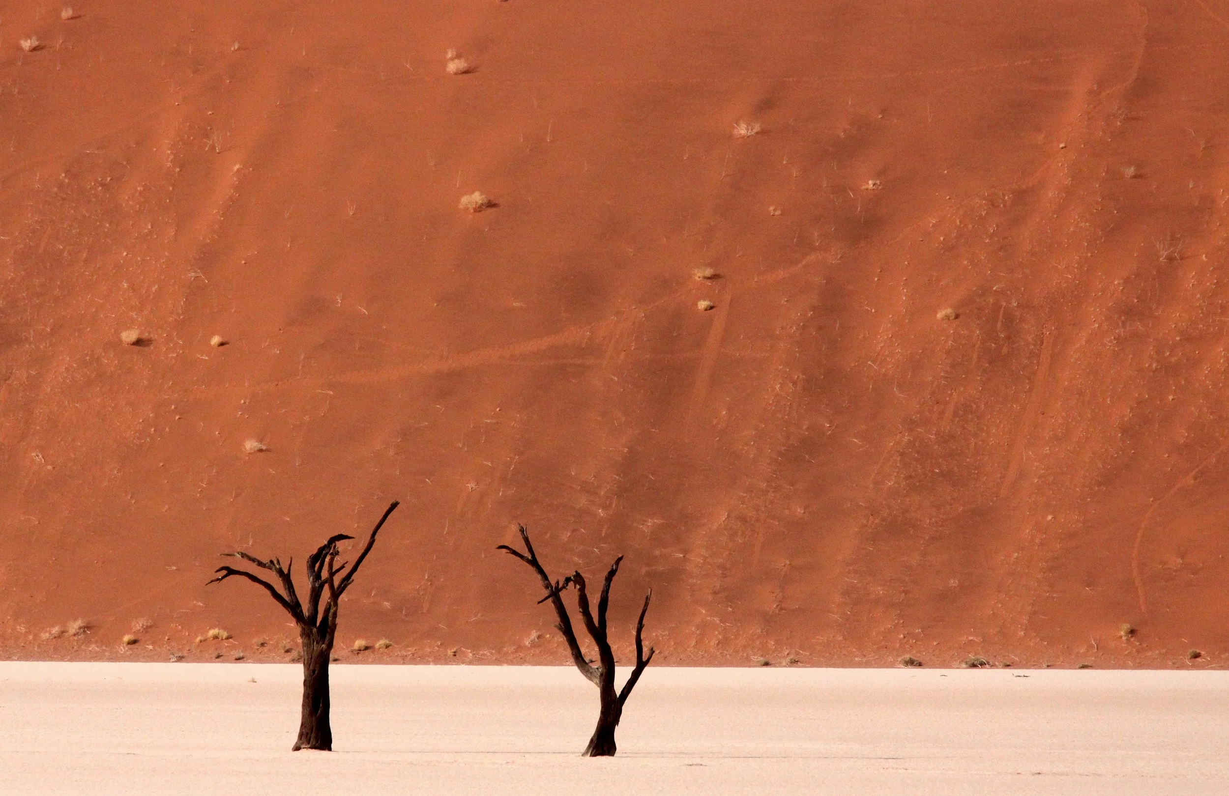 SOSSUSVLEI, NAMIB NAUKLUFT NATIONAL PARK, NAMIBIA - DEAD VLEI (79).JPG