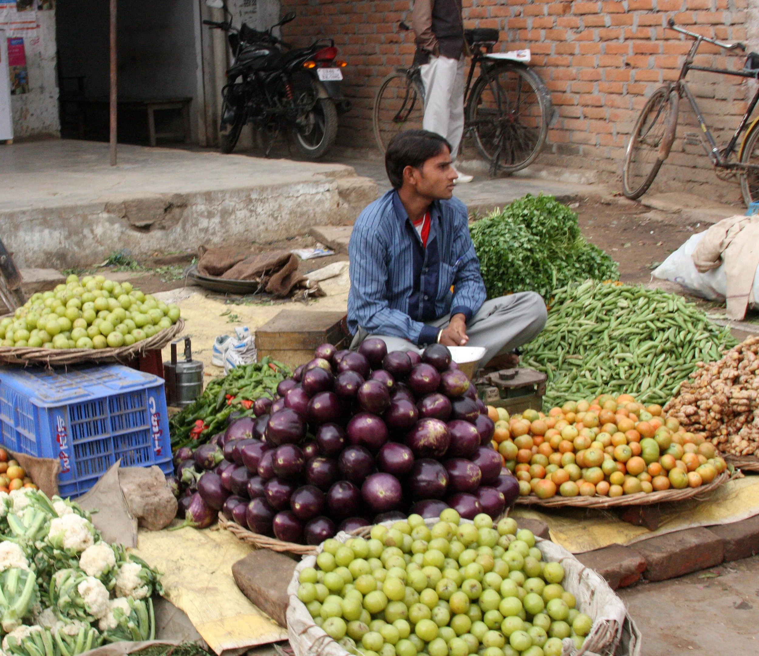 CHAMBAL RIVER SANCTUARY INDIA (22).JPG