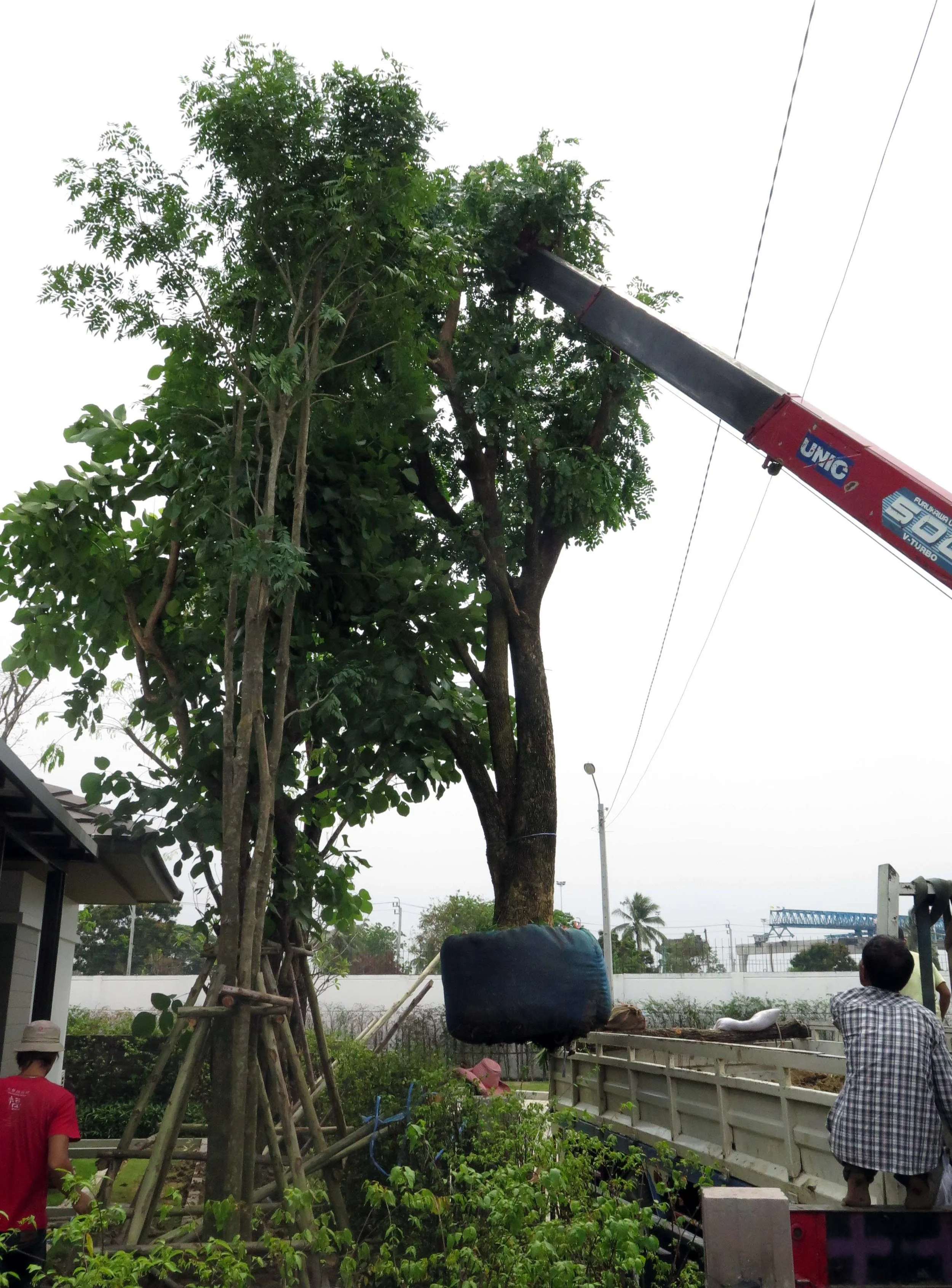 2013 Nonthaburi Setthasiri House and Nonthaburi Neighborhood (41).JPG