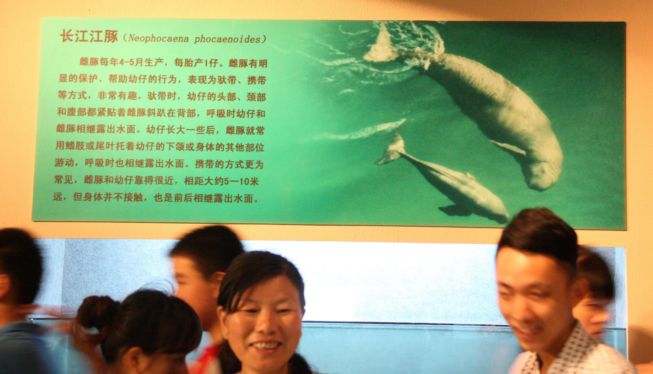 TONGLING RIVER DOLPHIN NATIONAL NATURE RESERVE - YUZHOU ISLAND (2).JPG