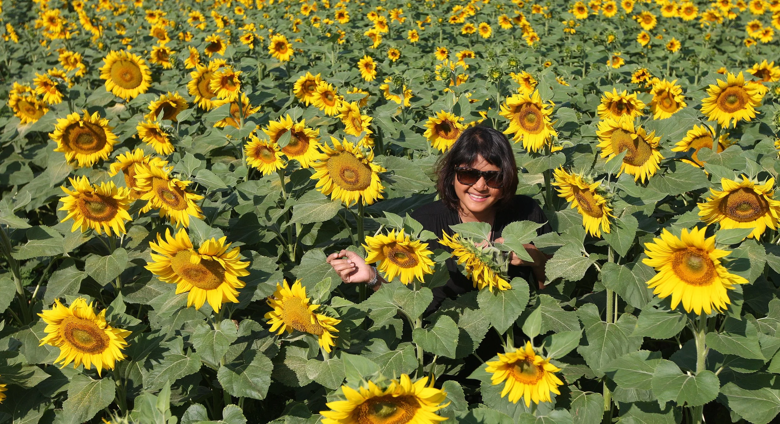 VERCORS NATIONAL PARK FRANCE (65).JPG