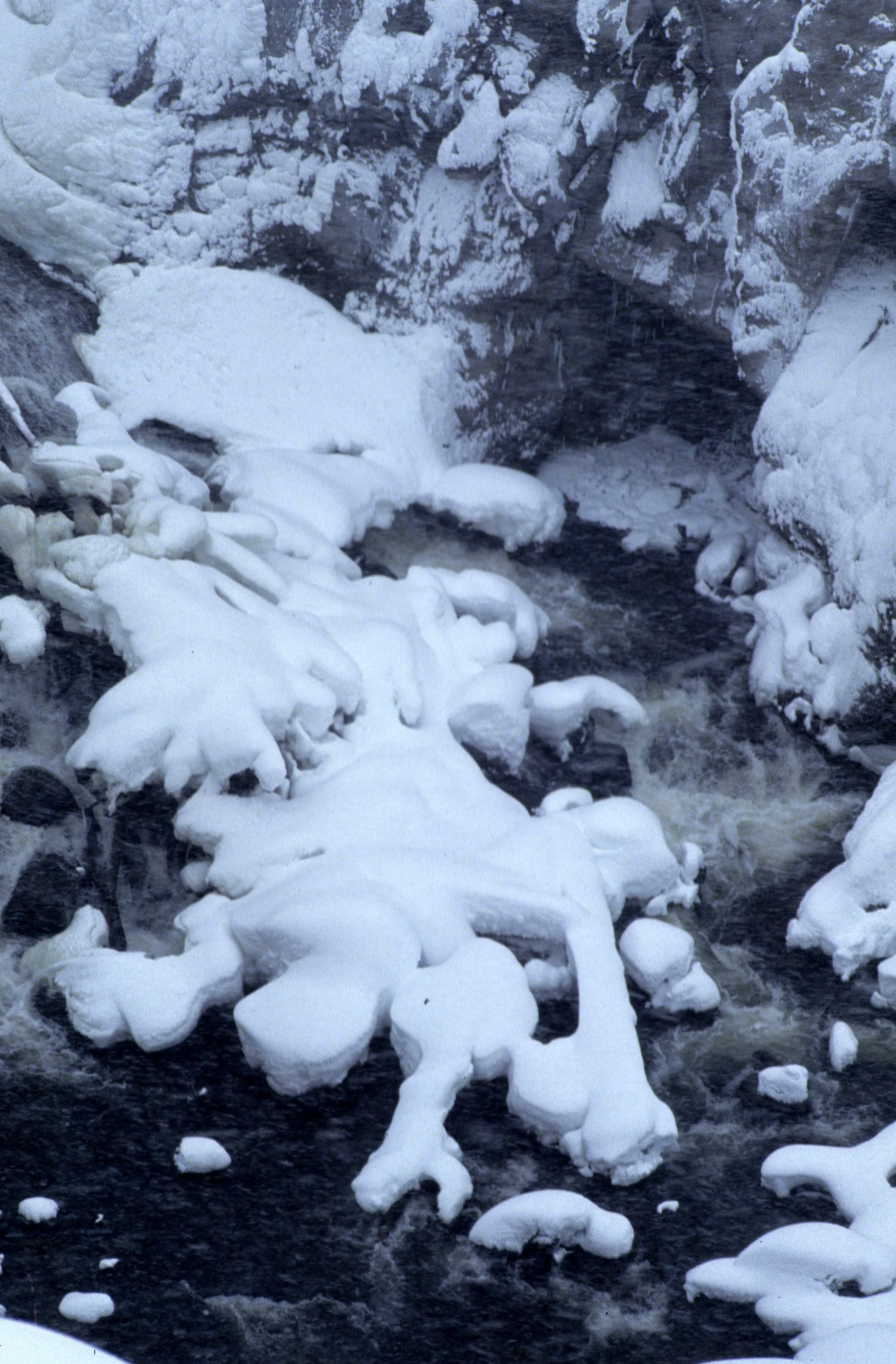 YELLOWSTONE IN WINTER F.jpg