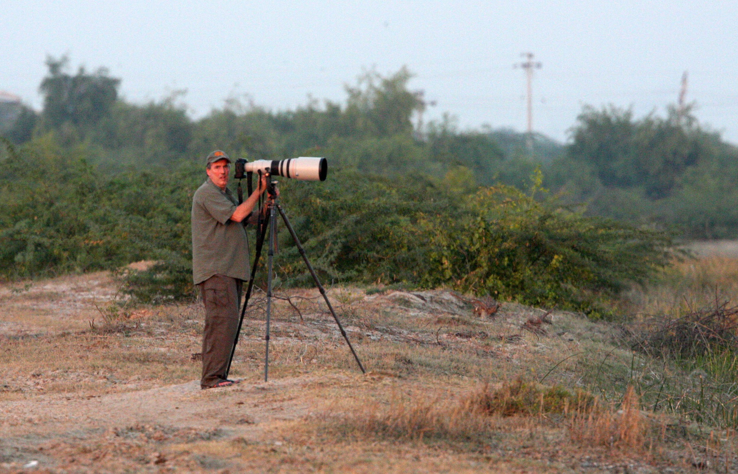 GUJARAT - LITTLE RANN OF KUTCH - INDIA.JPG