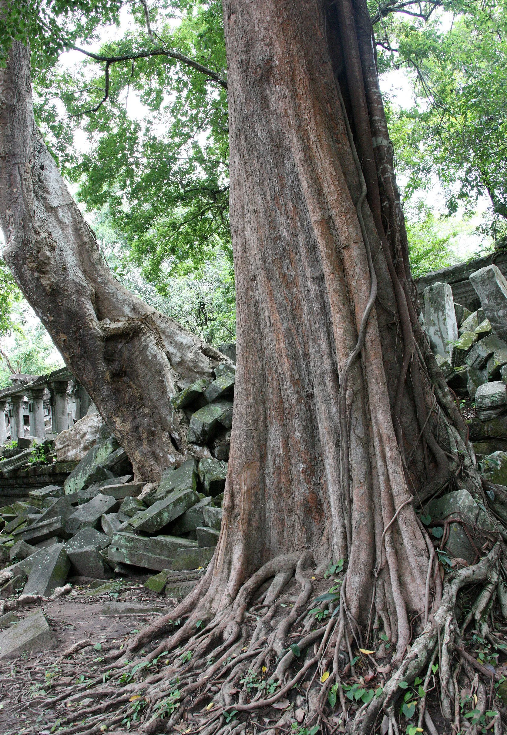 BENG MEALEA - CAMBODIA - JULY 2010 (14).JPG