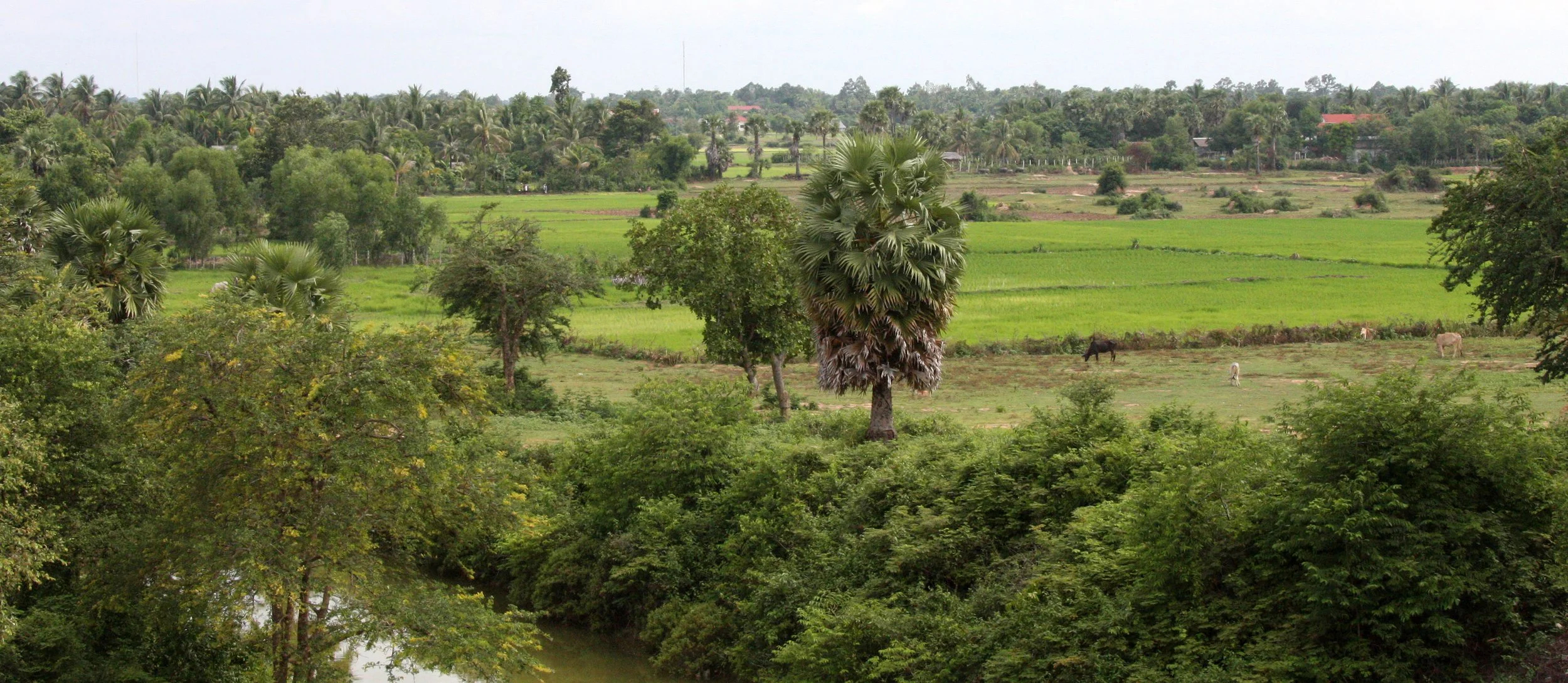 SIEM REAP CAMBODIA (26).JPG