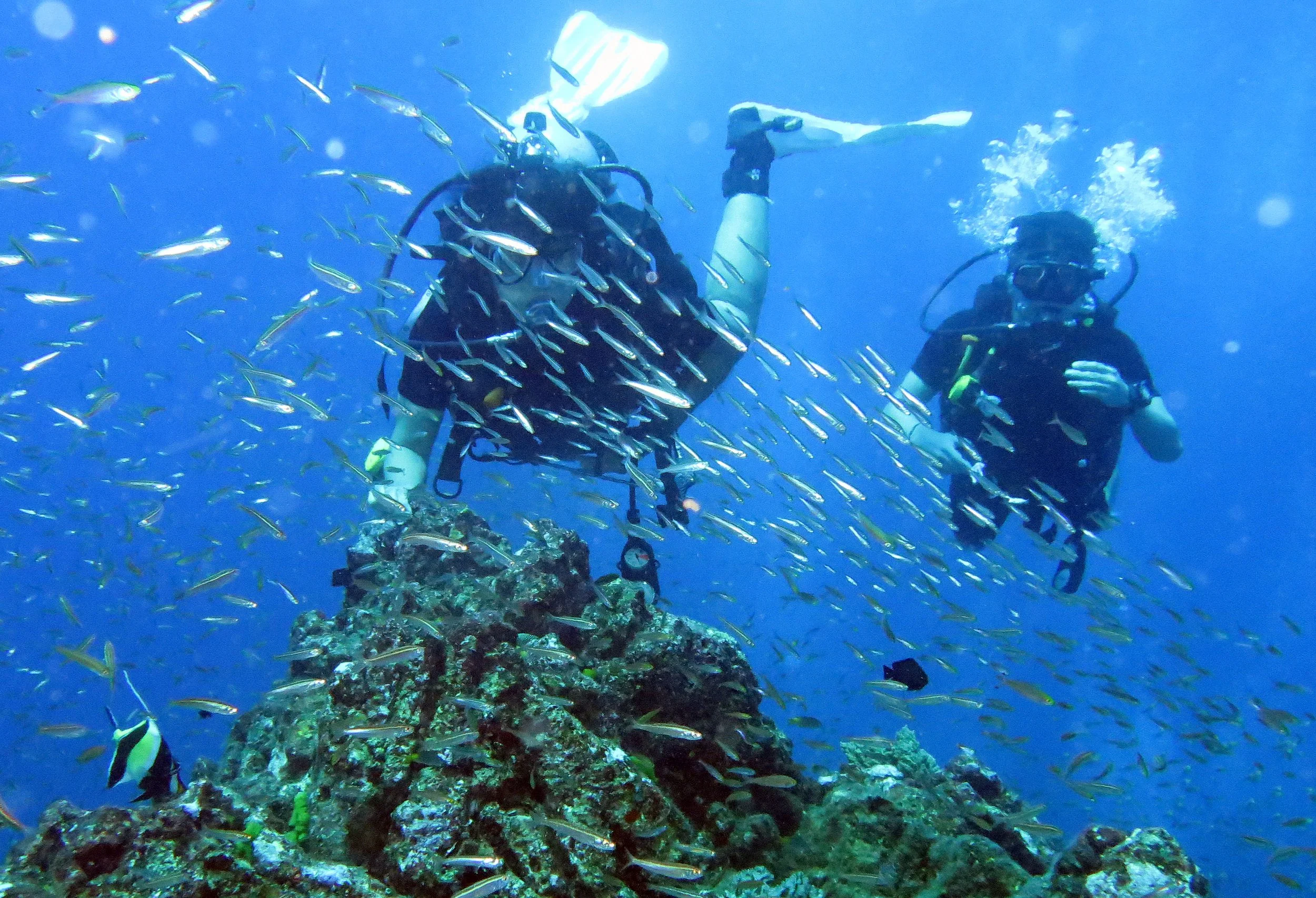 2016 Similans Dive Trip with ISB GCW (11).JPG