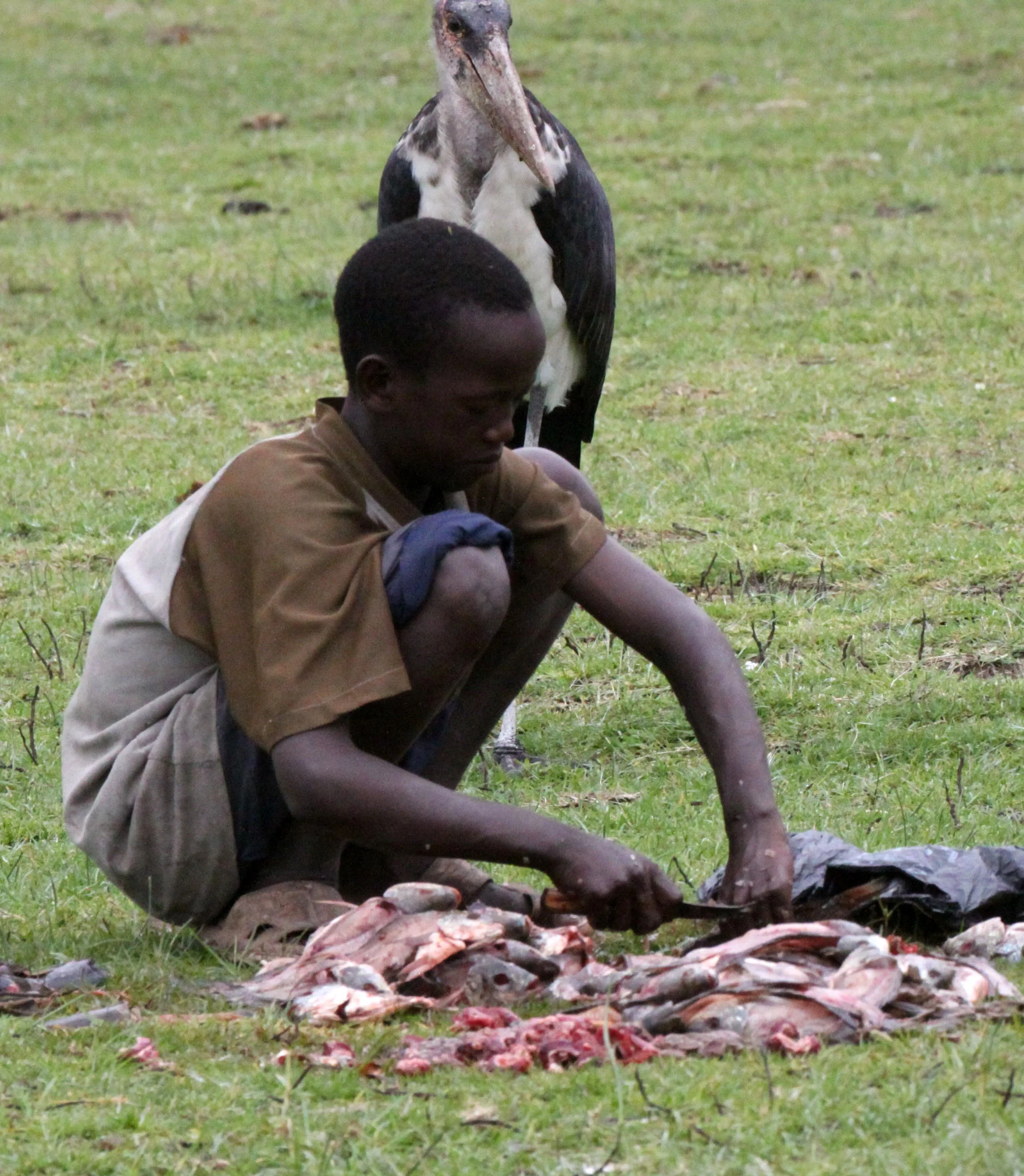 LAKE AWASSA ETHIOPIA (69).JPG