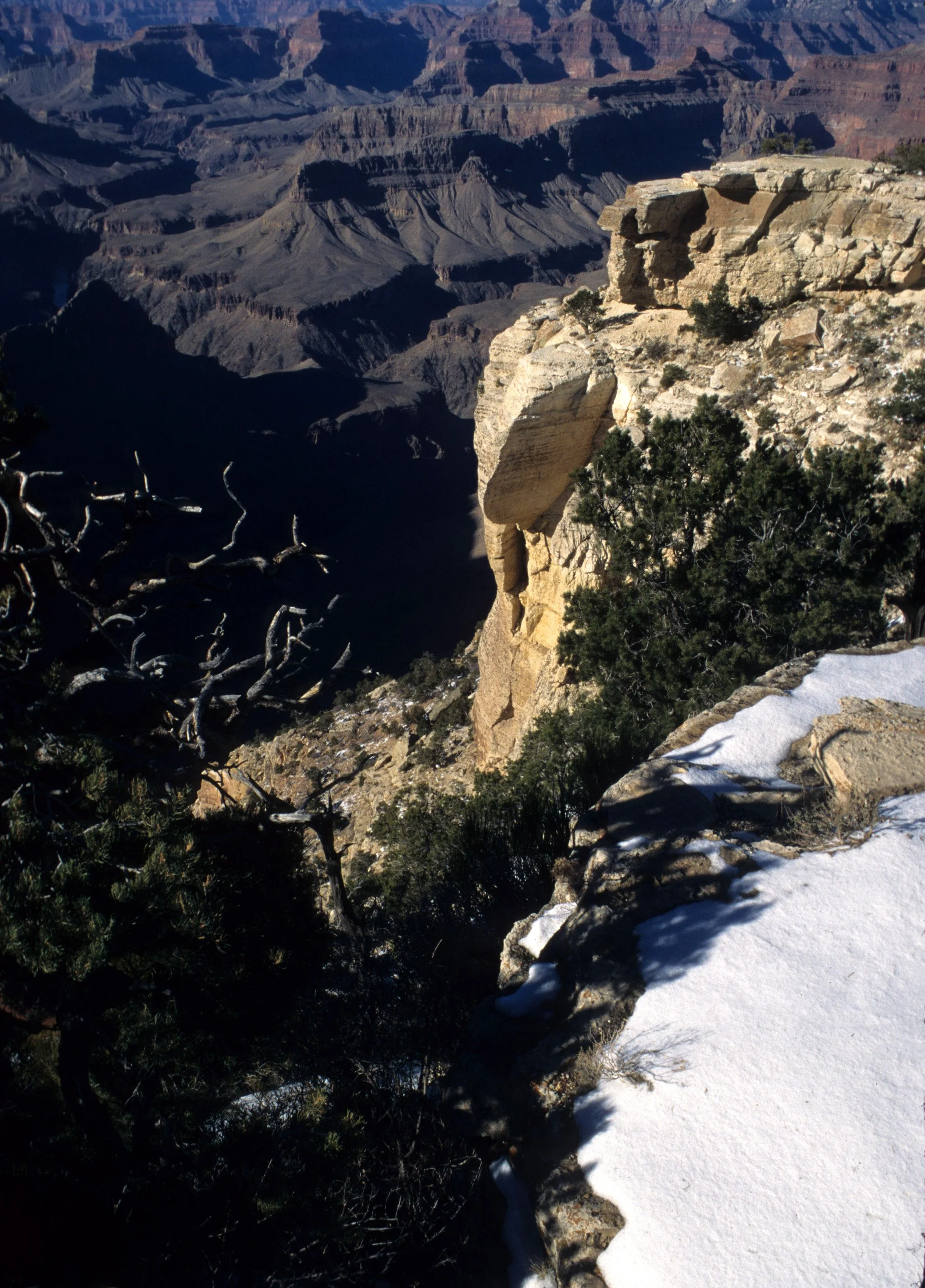 ARIZONA - GRAND CANYON NATIONAL PK (39).jpg