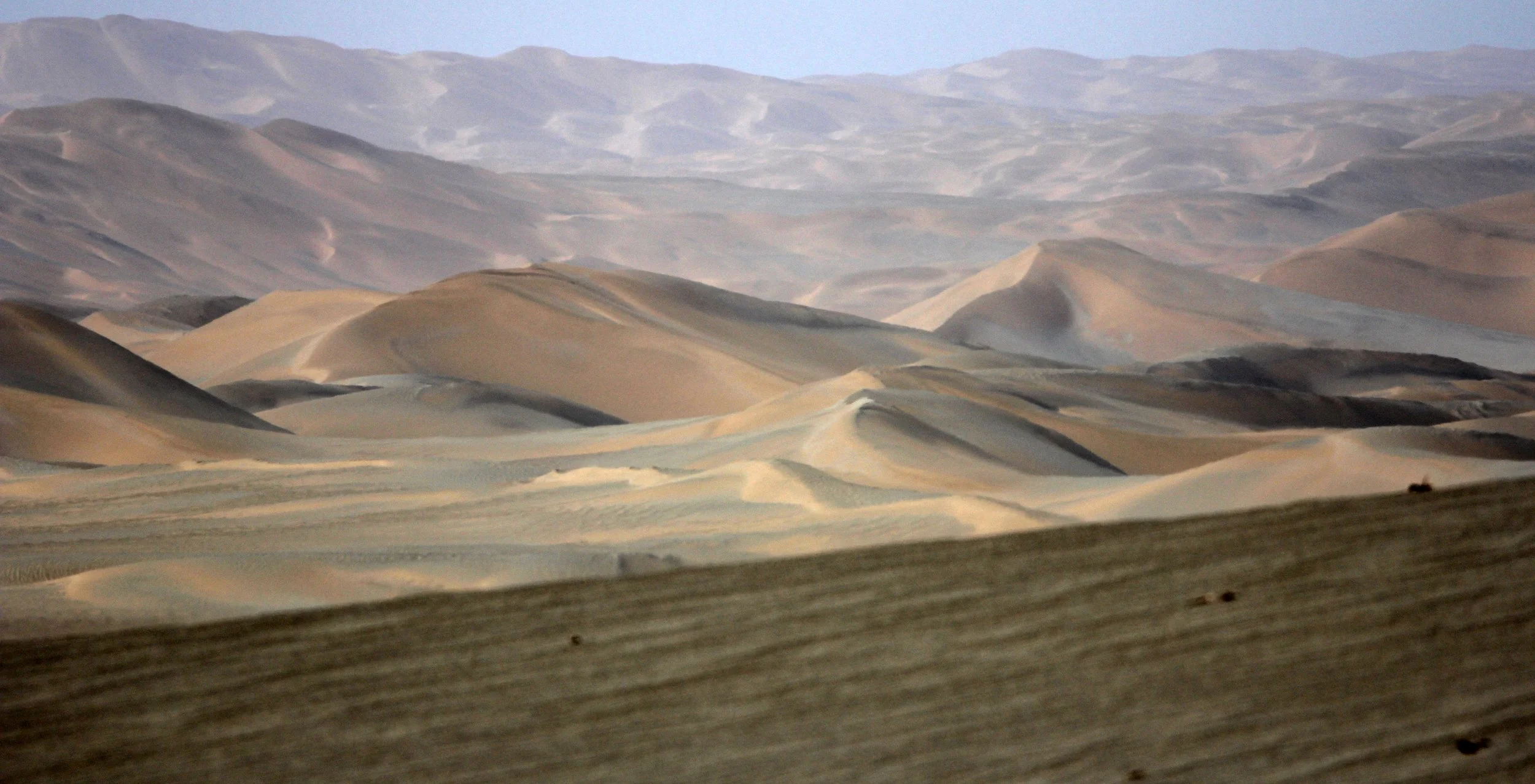 LOP NUR WILD BACTRIAN CAMEL RESERVE - XINJIANG CHINA (121).JPG