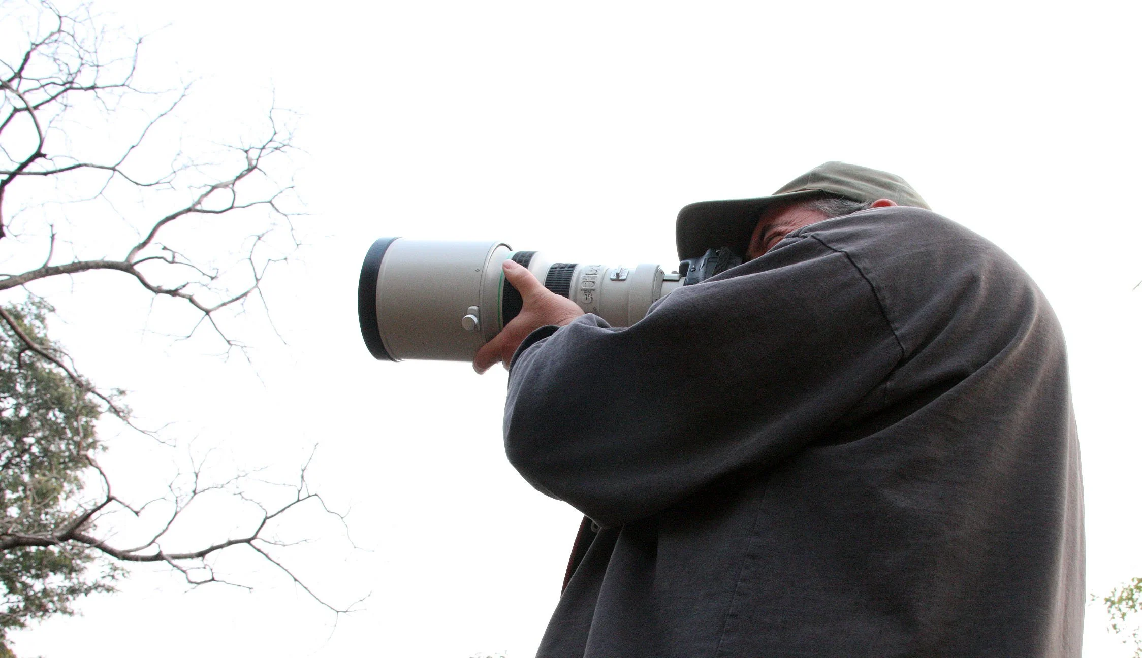 MADHYA PRADESH - BANDHAVGAR NATIONAL PARK MADHYA PRADESH INDIA (28).JPG