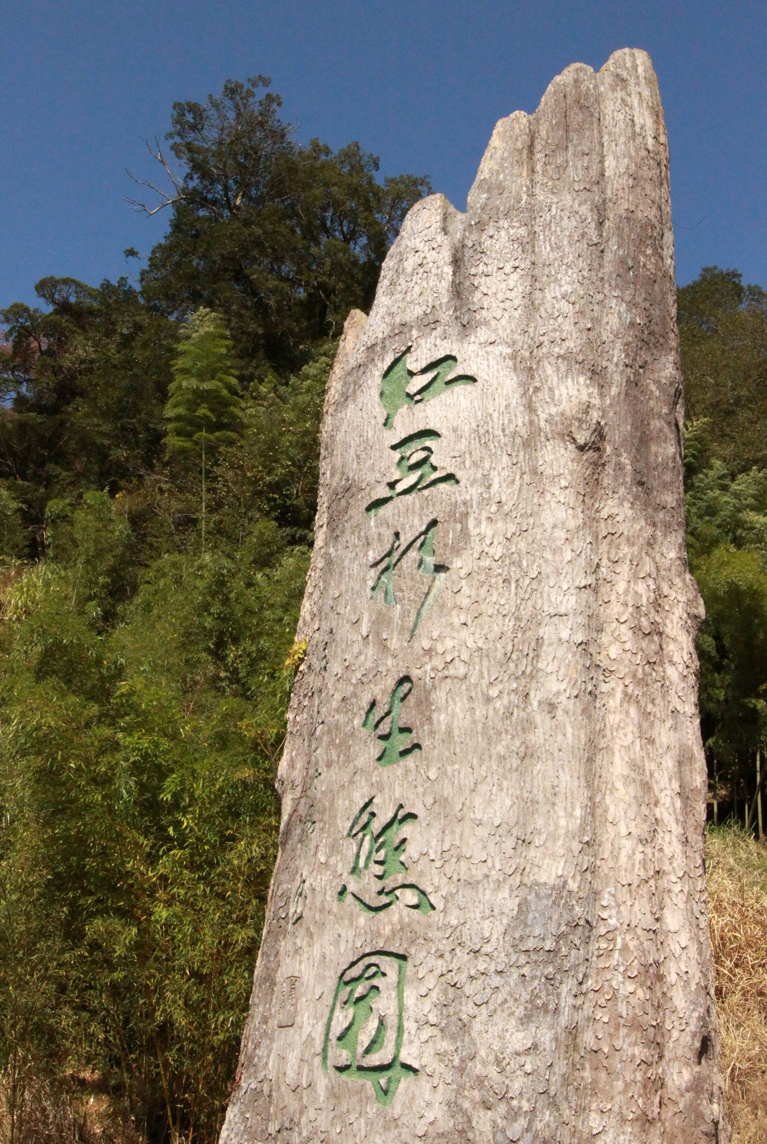 CHINESE YEW RESERVE - FUJIAN CHINA (42).JPG