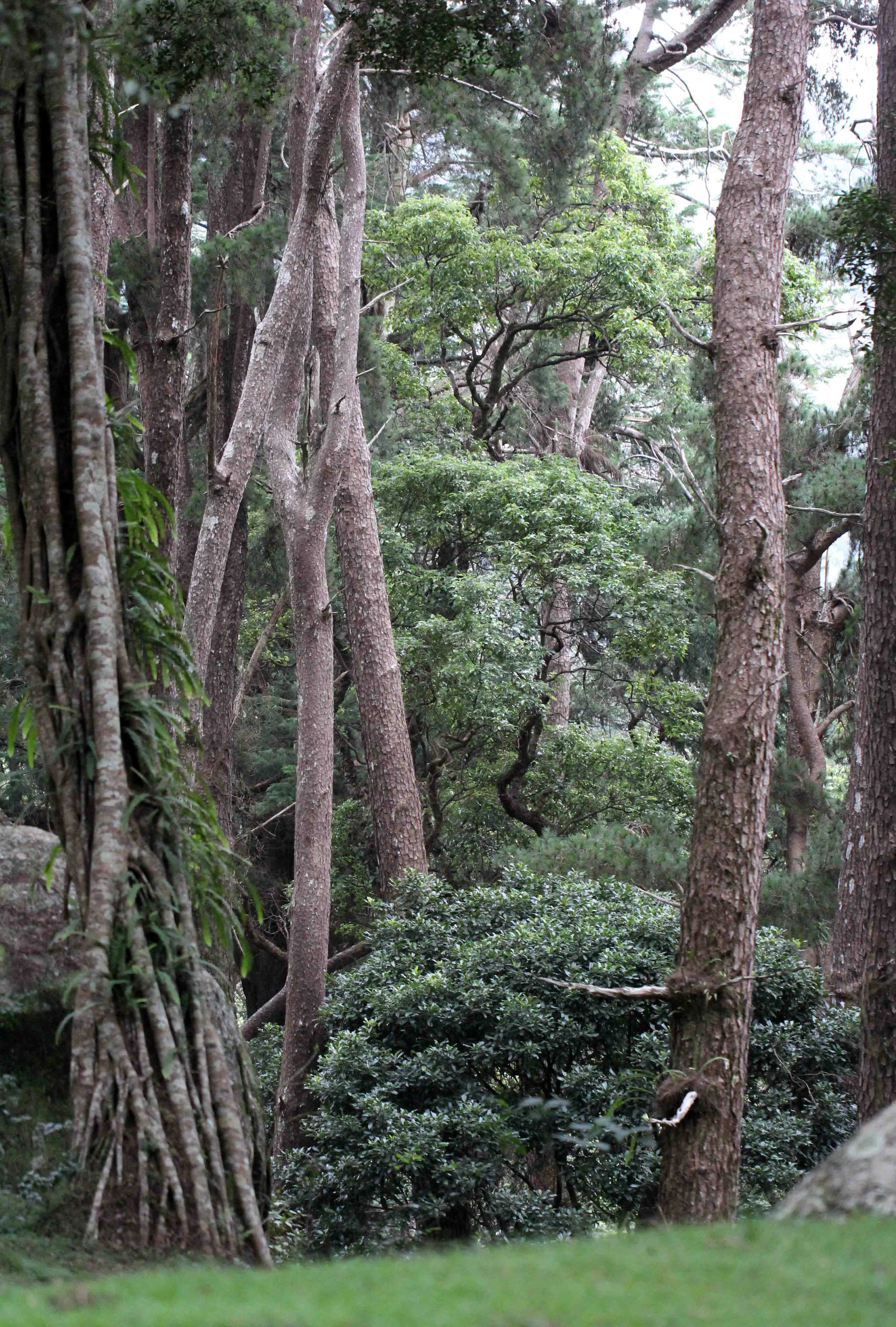 NUWARA ELIYA SRI LANKA (26).JPG