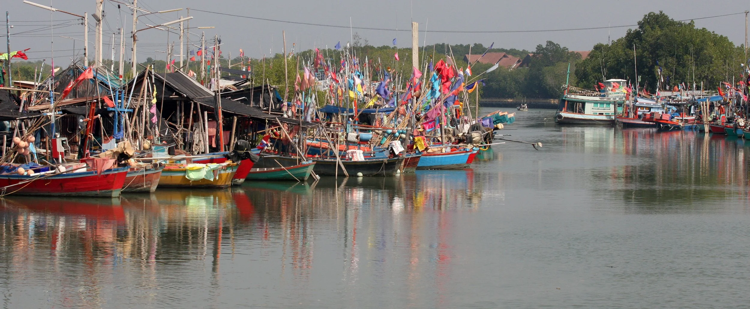 2011 Laem Pak Bia Winter Trip  (3).JPG