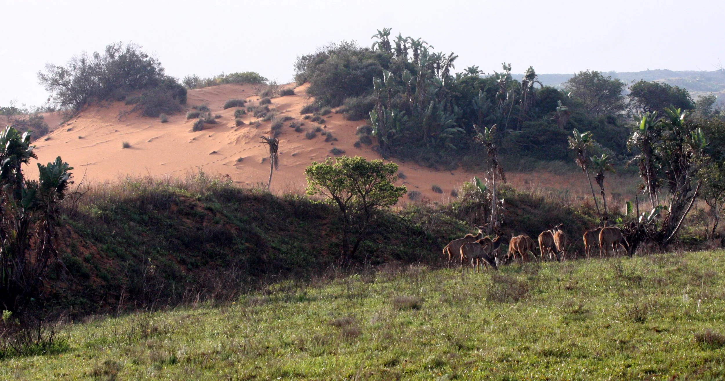 SAINT LUCIA WETLANDS RESERVE - SOUTH AFRICA (5).JPG