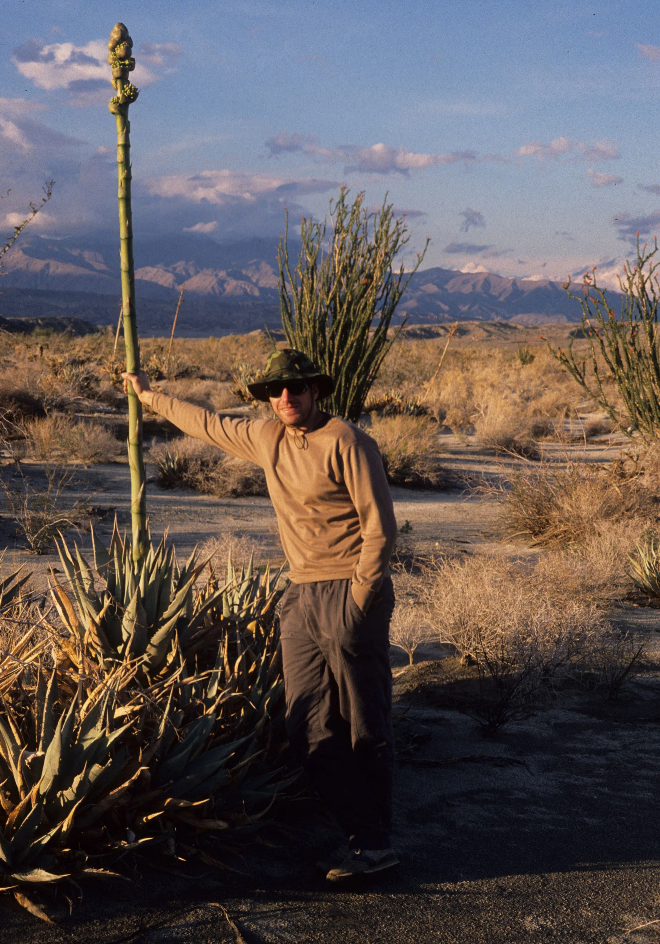 ANZA BORREGO - AMARYLLIDACEAE - AGAVE DESERTI SPIKE.jpg