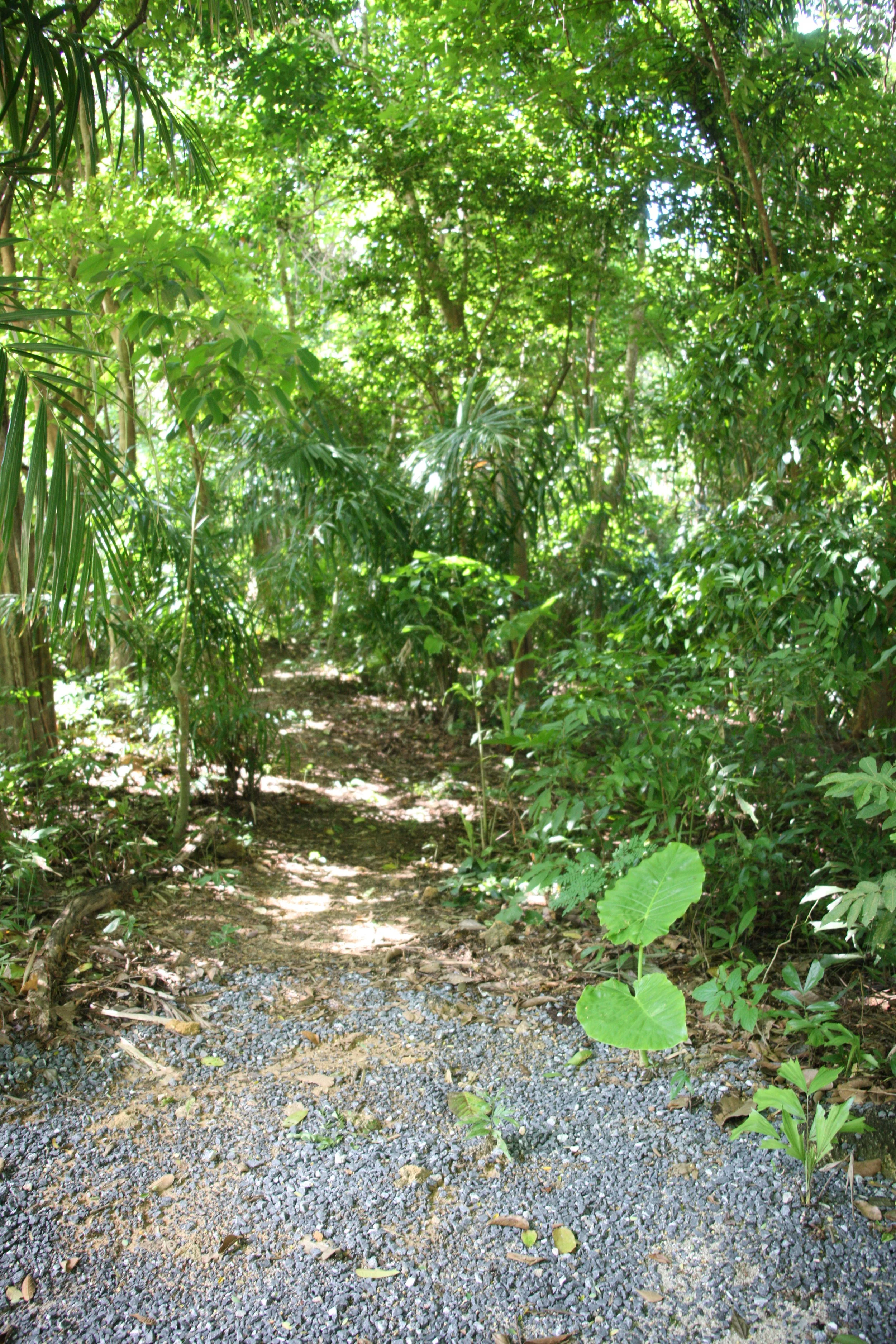 2016 Koh Lanta Landscapes, House Pictures and Family Fun (622).JPG