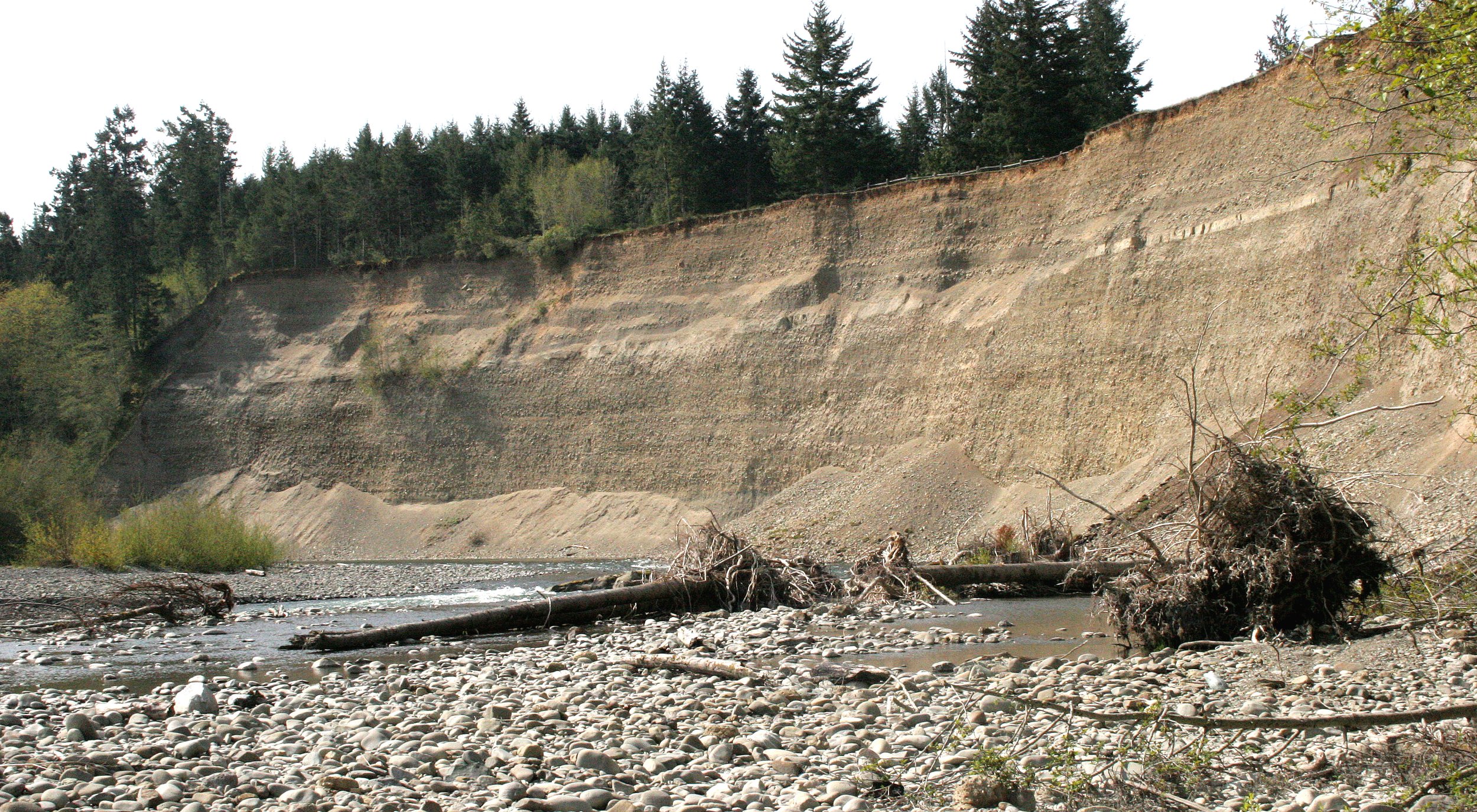 ELWHA RIVER BLUFF NEAR MOUTH.JPG
