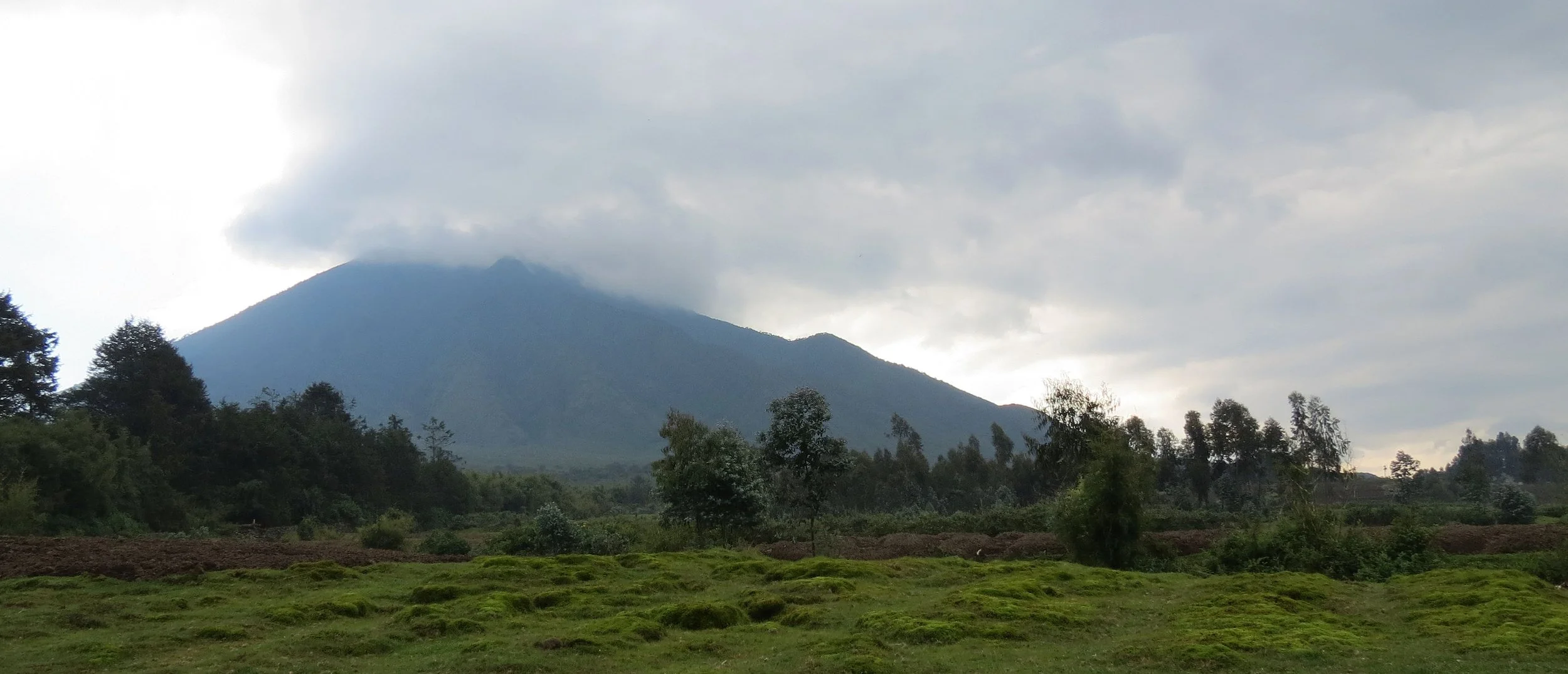 PARC DU VULCANS RWANDA (15).JPG