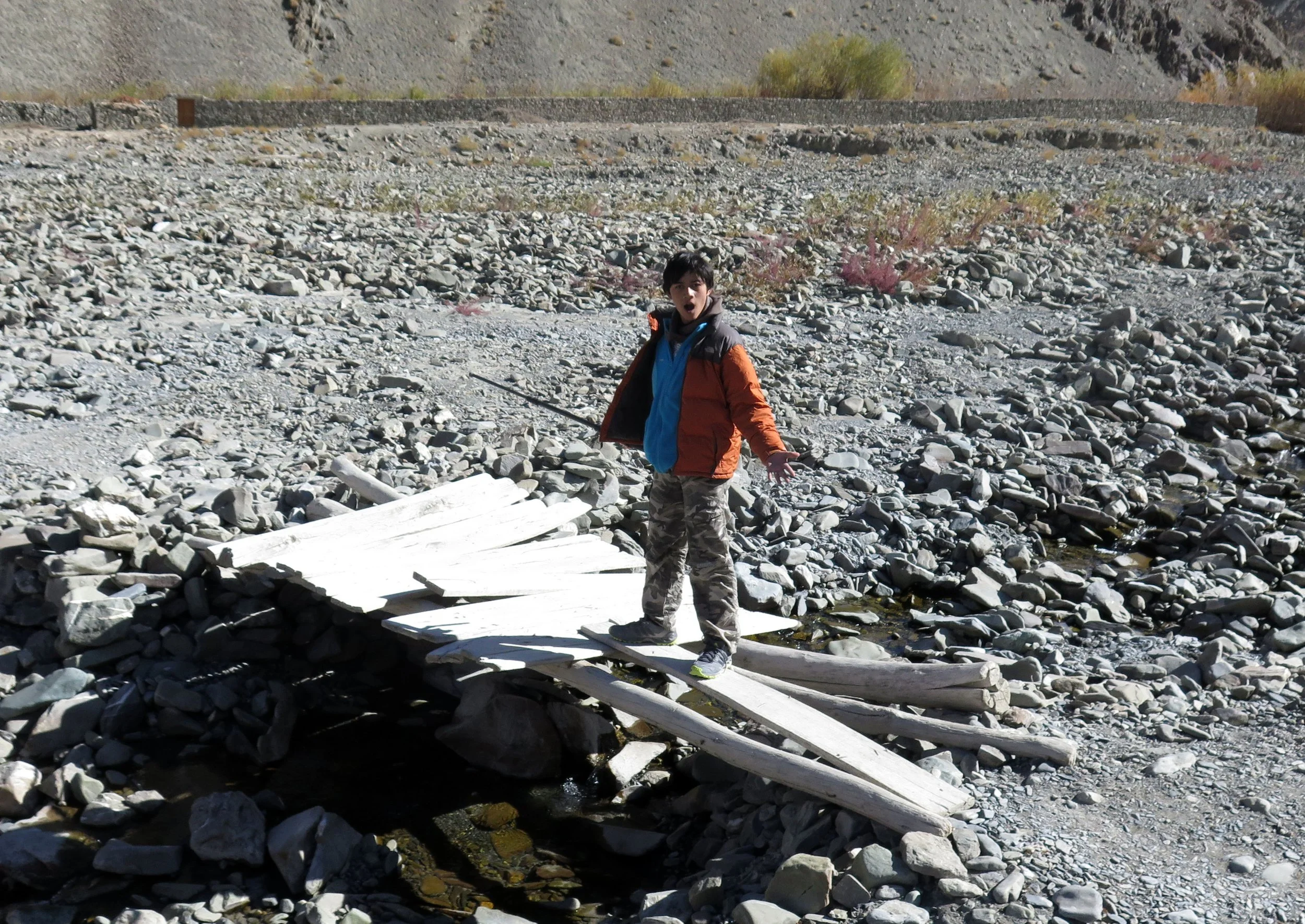 HEMIS NATIONAL PARK - LADAKH INDIA - JAMMU & KASHMIR NEAR RUMBAK VILLAGE (655).JPG