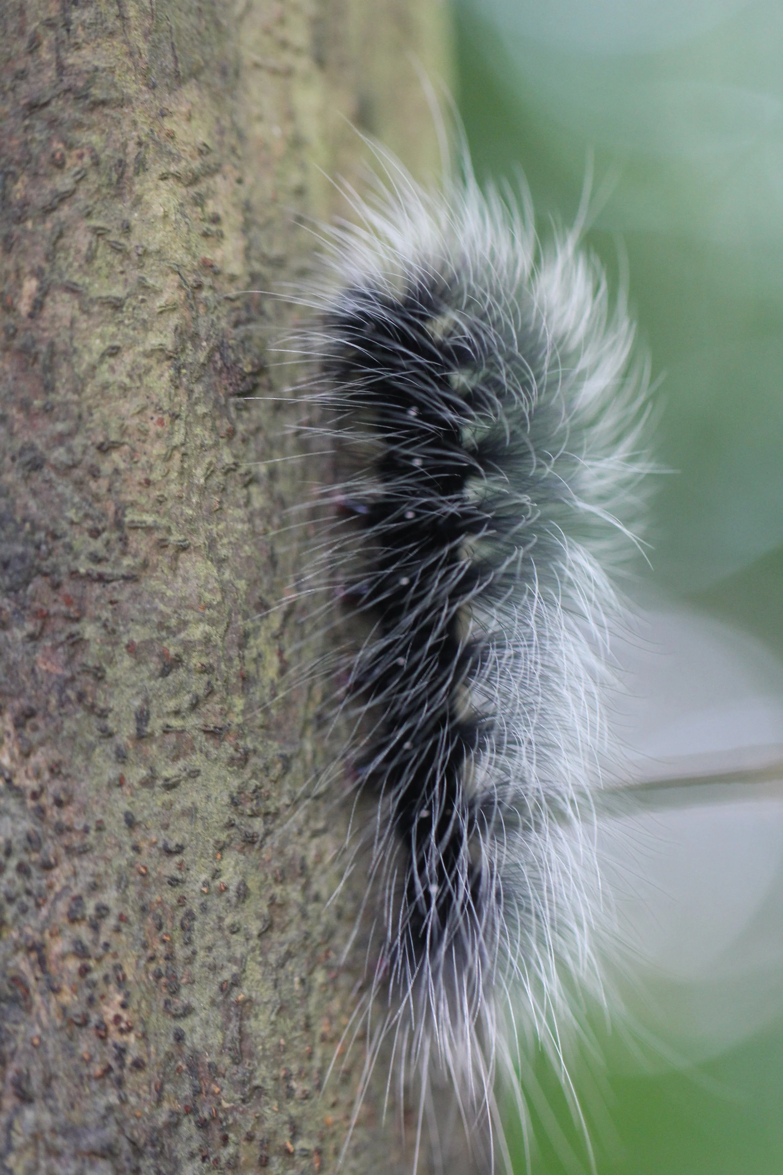 KOH LANTA JULY 2016KOH LANTA JULY 2016_9276.JPG