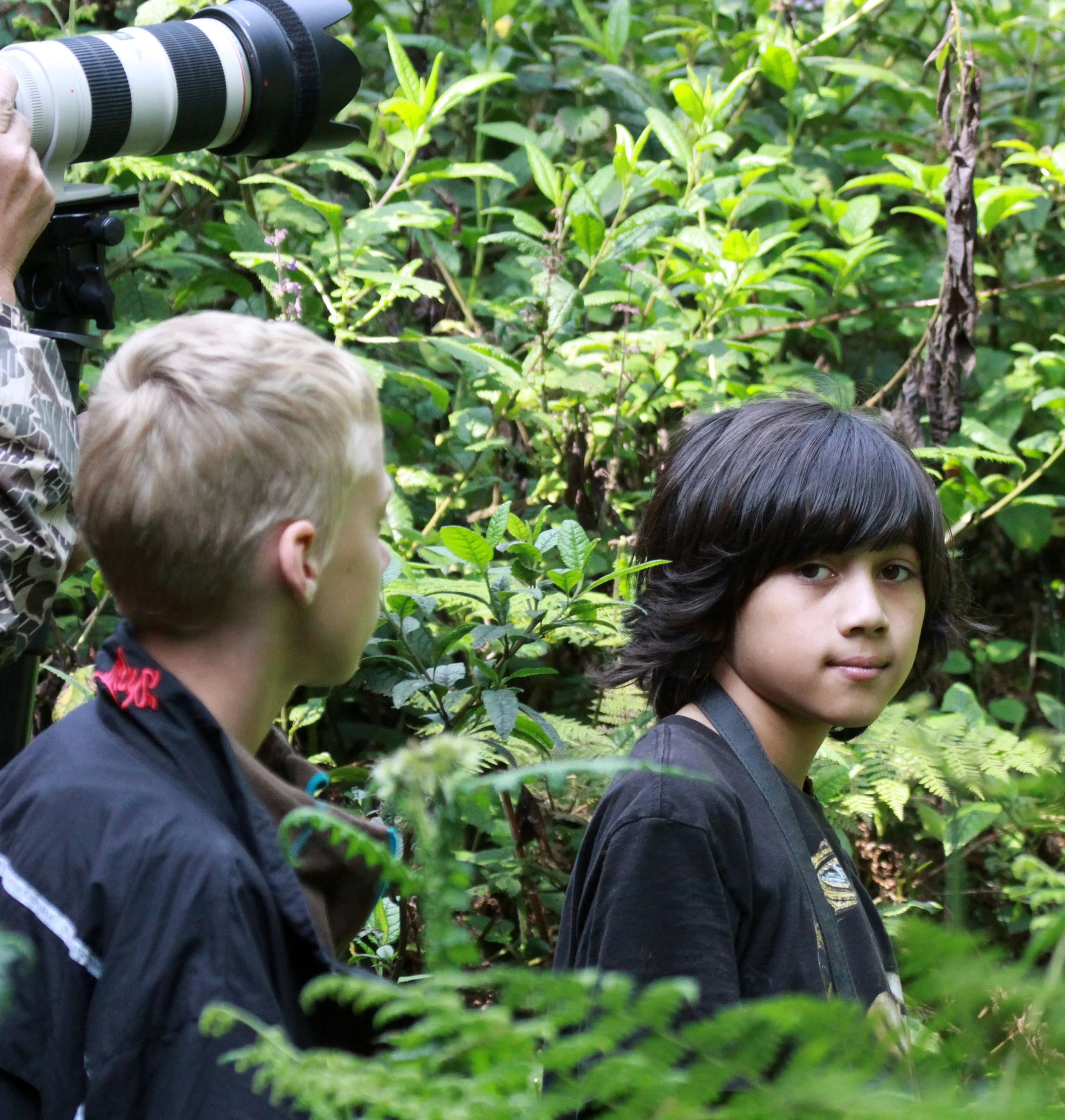 PARC DU VULCANS RWANDA (71).JPG