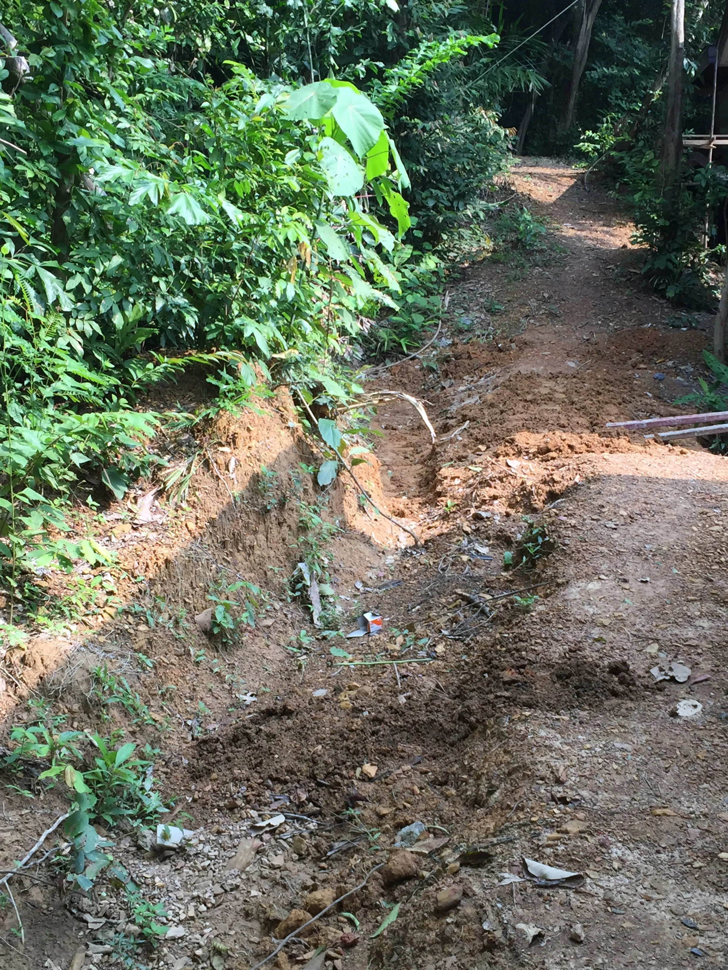 2015 Koh Lanta Garden & Nature (314).jpg