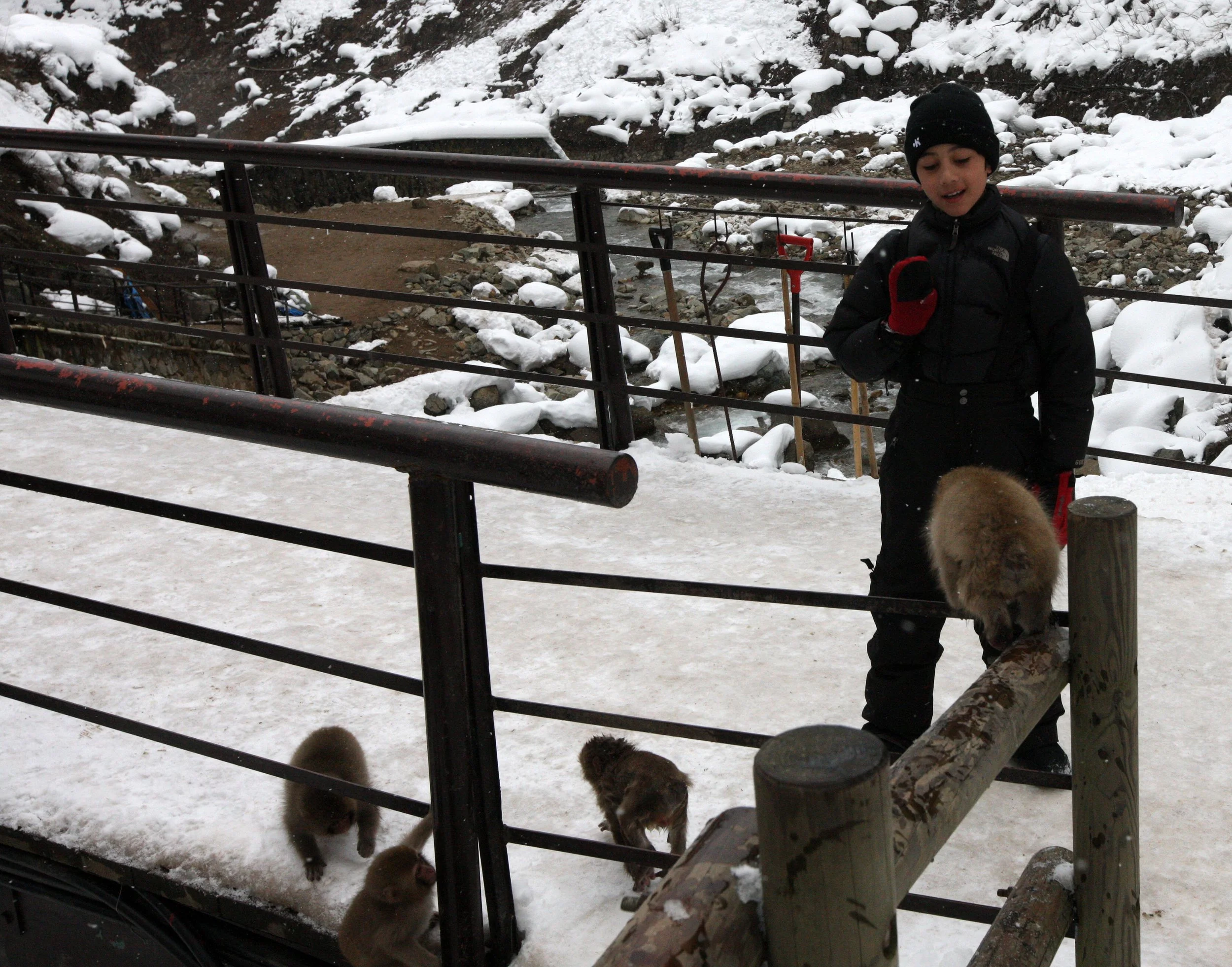 JIGOKUDANI ONSEN - NAGANO PREFECTURE JAPAN (3).JPG