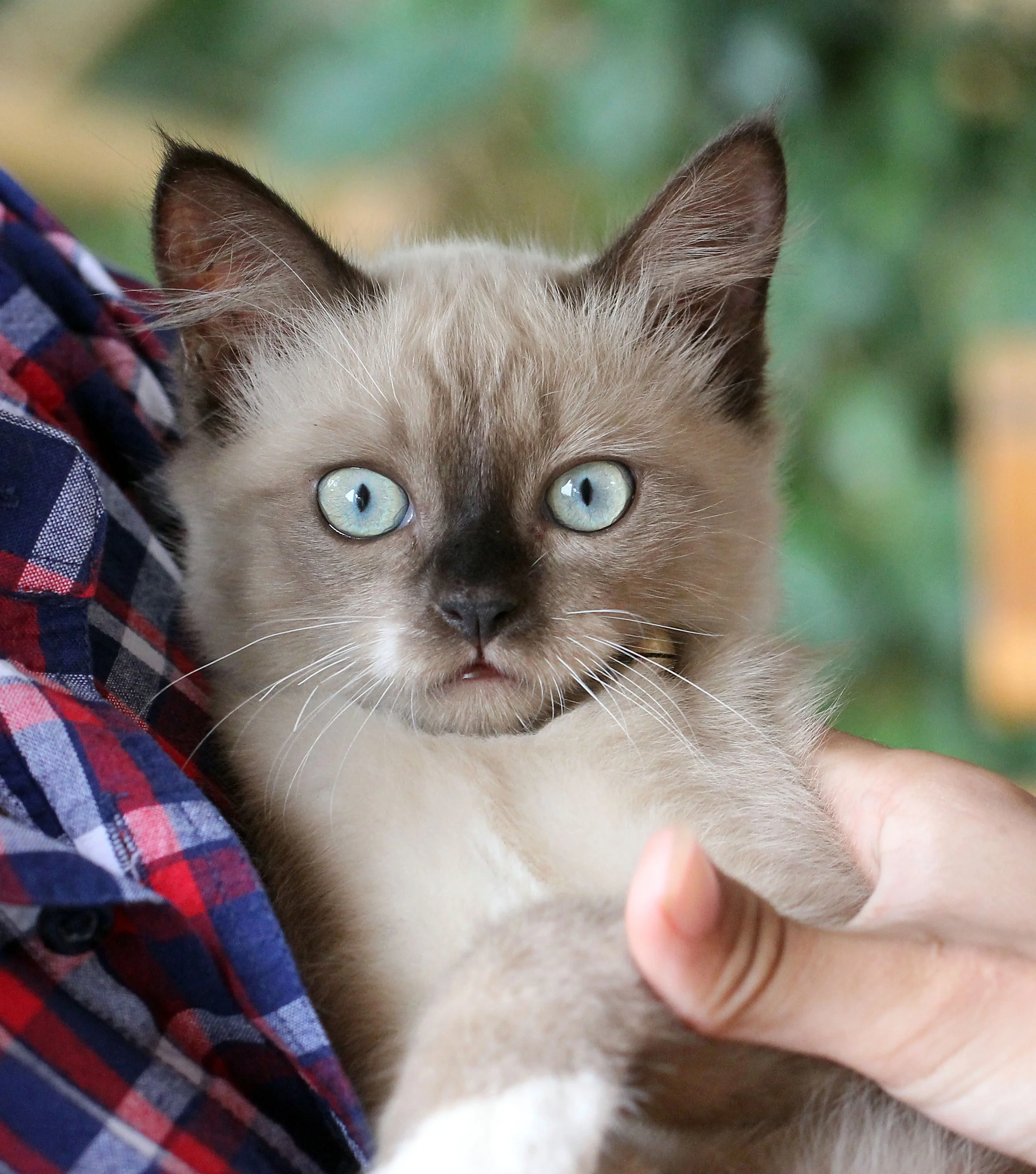 2015 Koh Lanta October Break Trip  (147).JPG