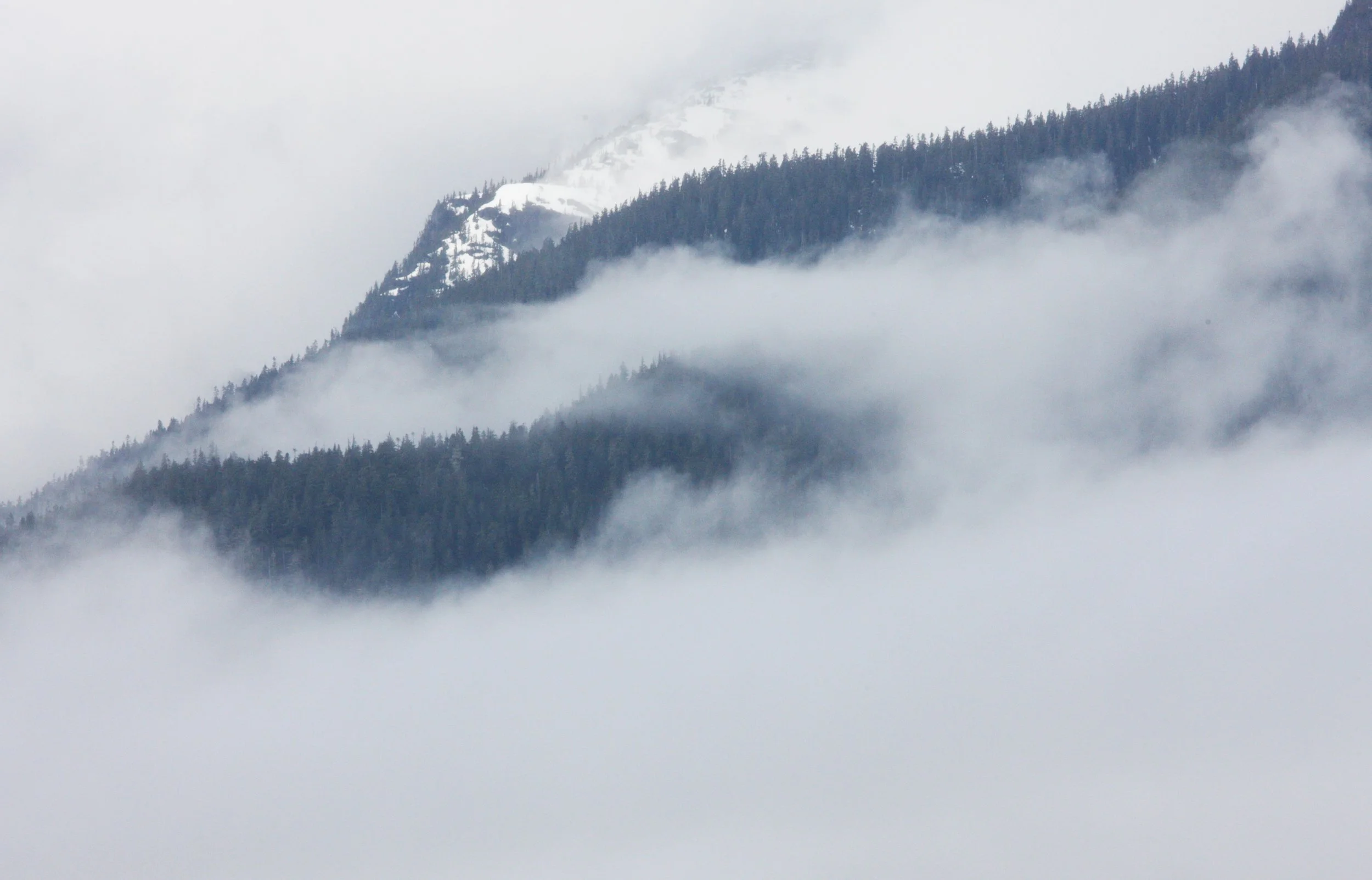 KNIGHT'S INLET BRITISH COLUMBIA (8).JPG