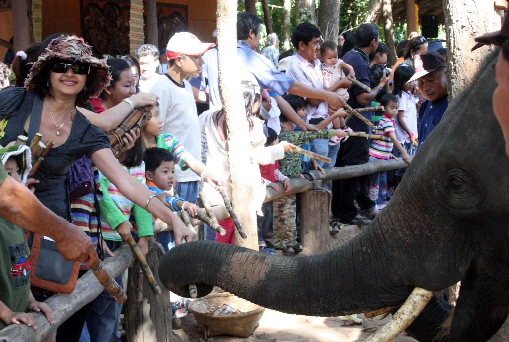 2008 Lampang City & Elephant Center (53).JPG