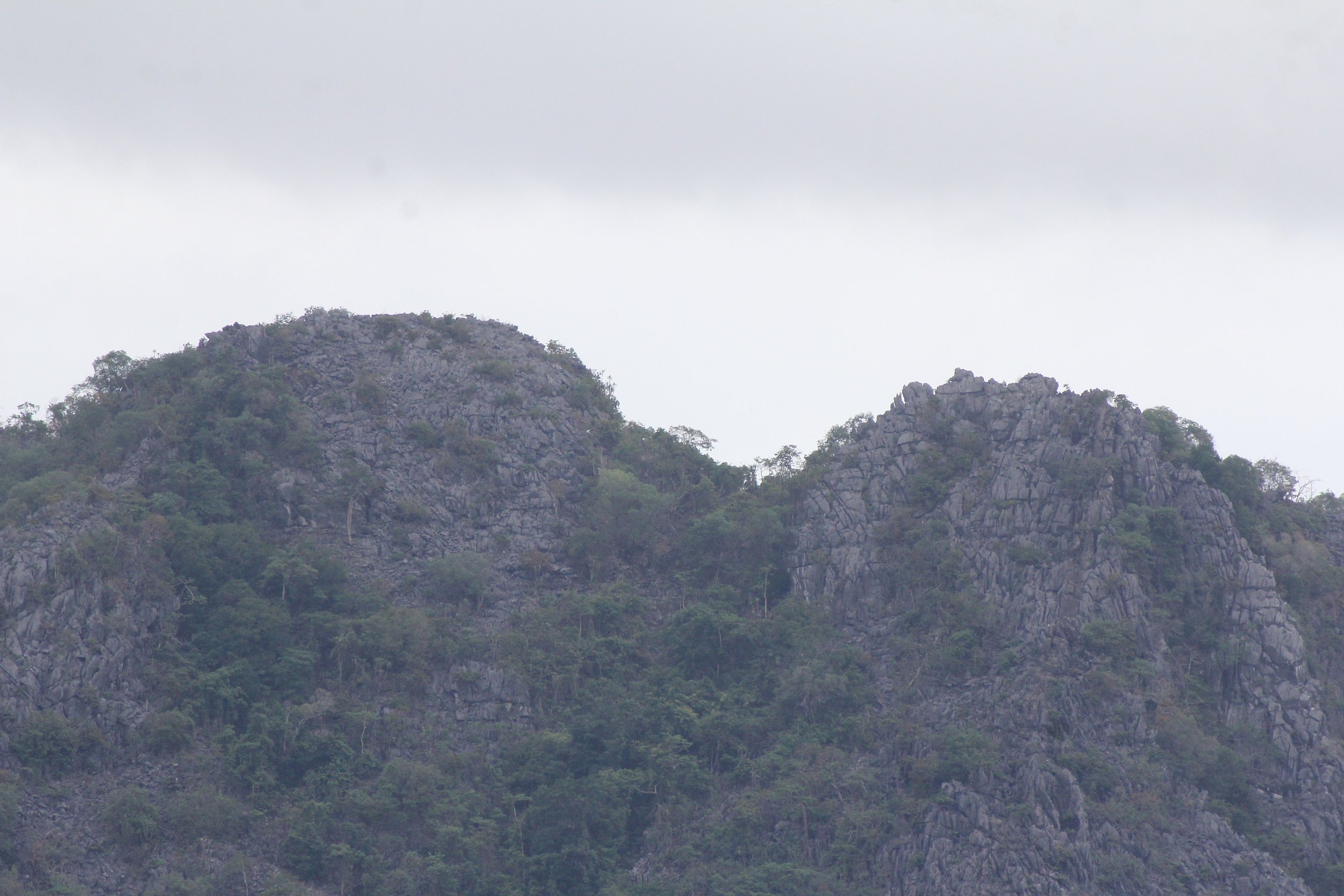 2020 4-5 July Nan Province North Thailand Tirp (18).JPG