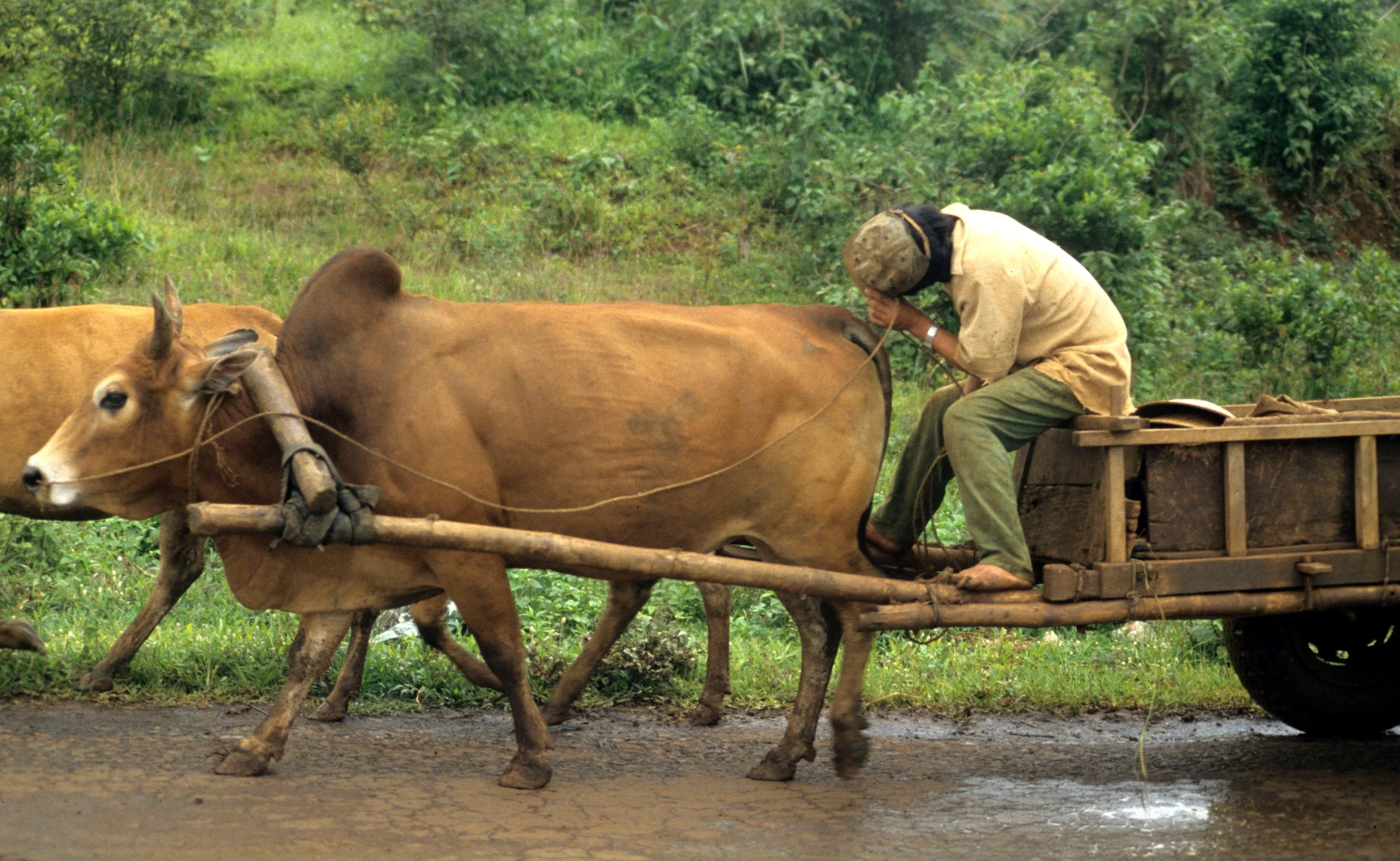BUAN ME THOUT VIET NAM 1994 (9).jpg