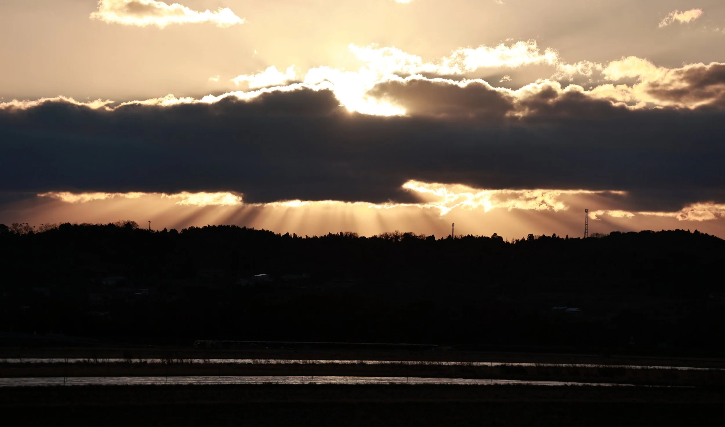 Izumi Crane Park & Center, Izumi Kagoshima Kyushu Japan (34).jpg