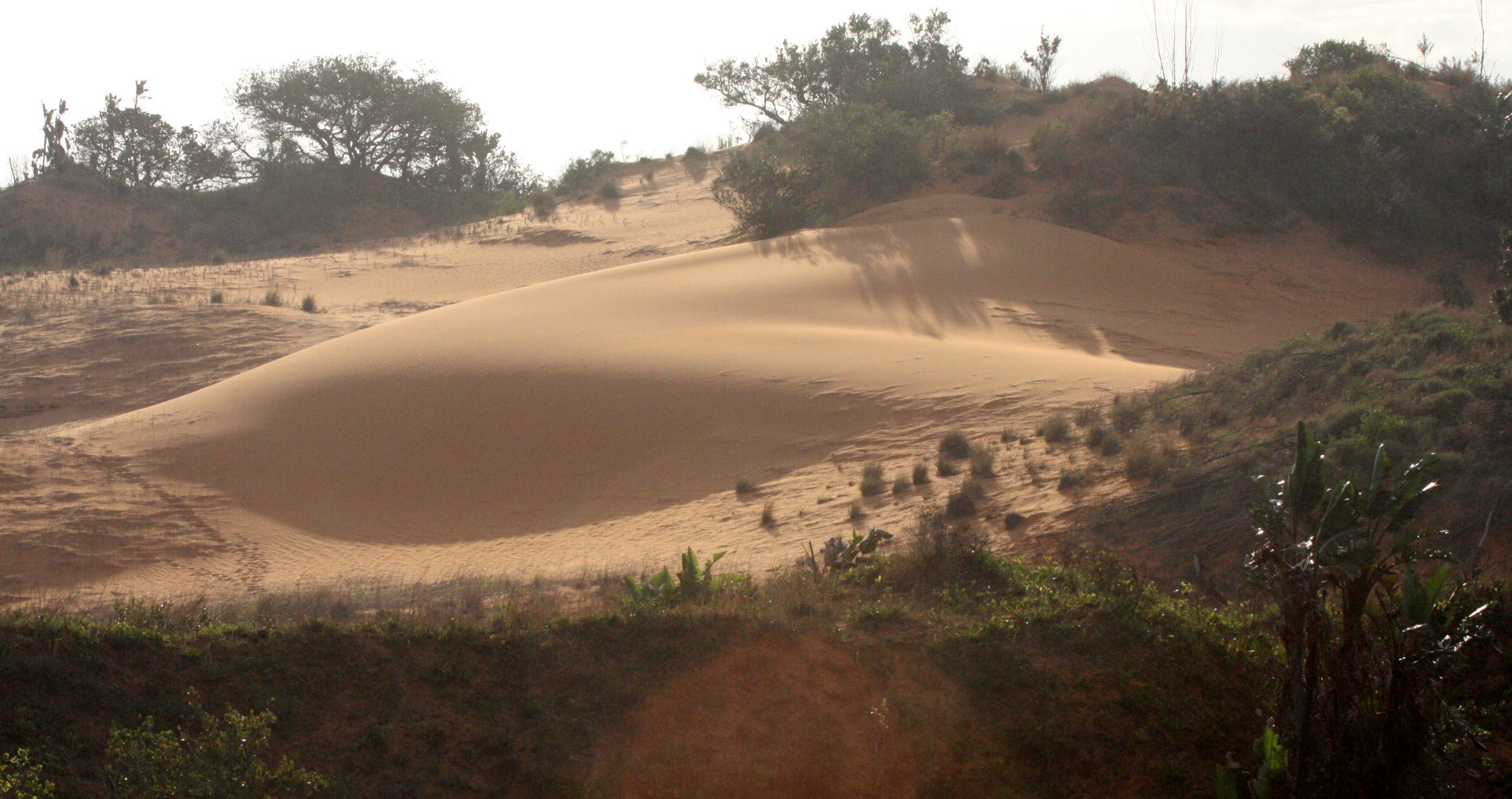 SAINT LUCIA WETLANDS RESERVE - SOUTH AFRICA (6).JPG