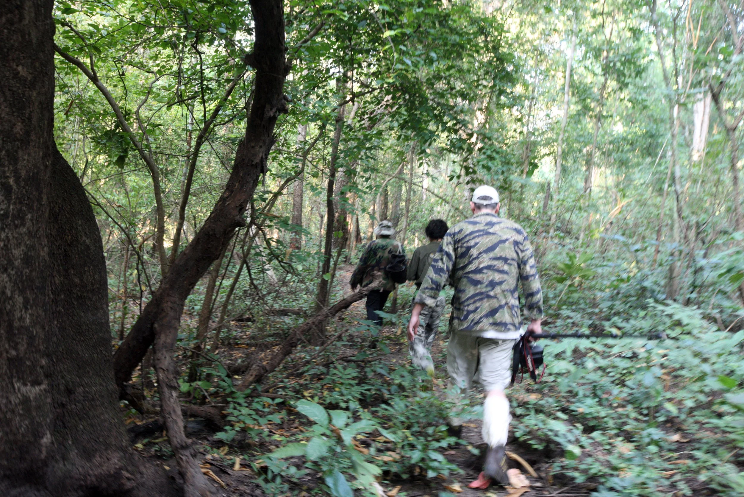 HUAI KHA KHAENG NATURE RESERVE - HEADQUARTERS - THAILAND (137).JPG