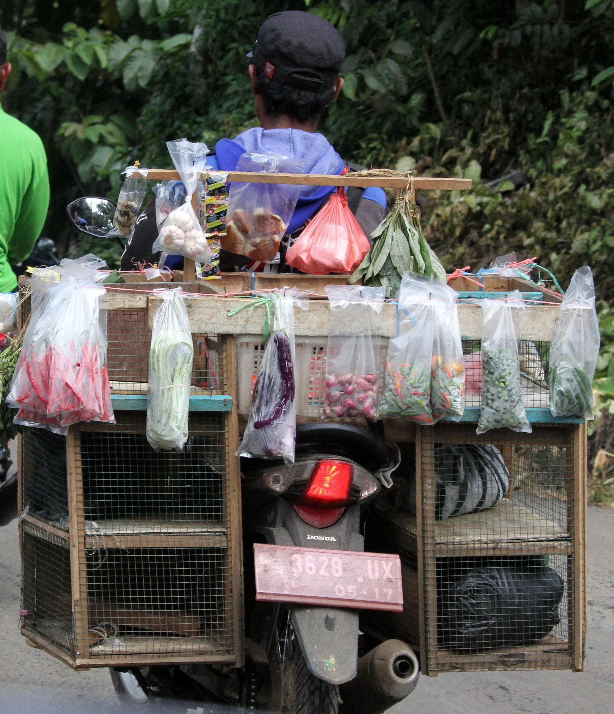 BOGOR - GEDE NATIONAL PARK - JAVA BARA, INDONESIA (30).JPG