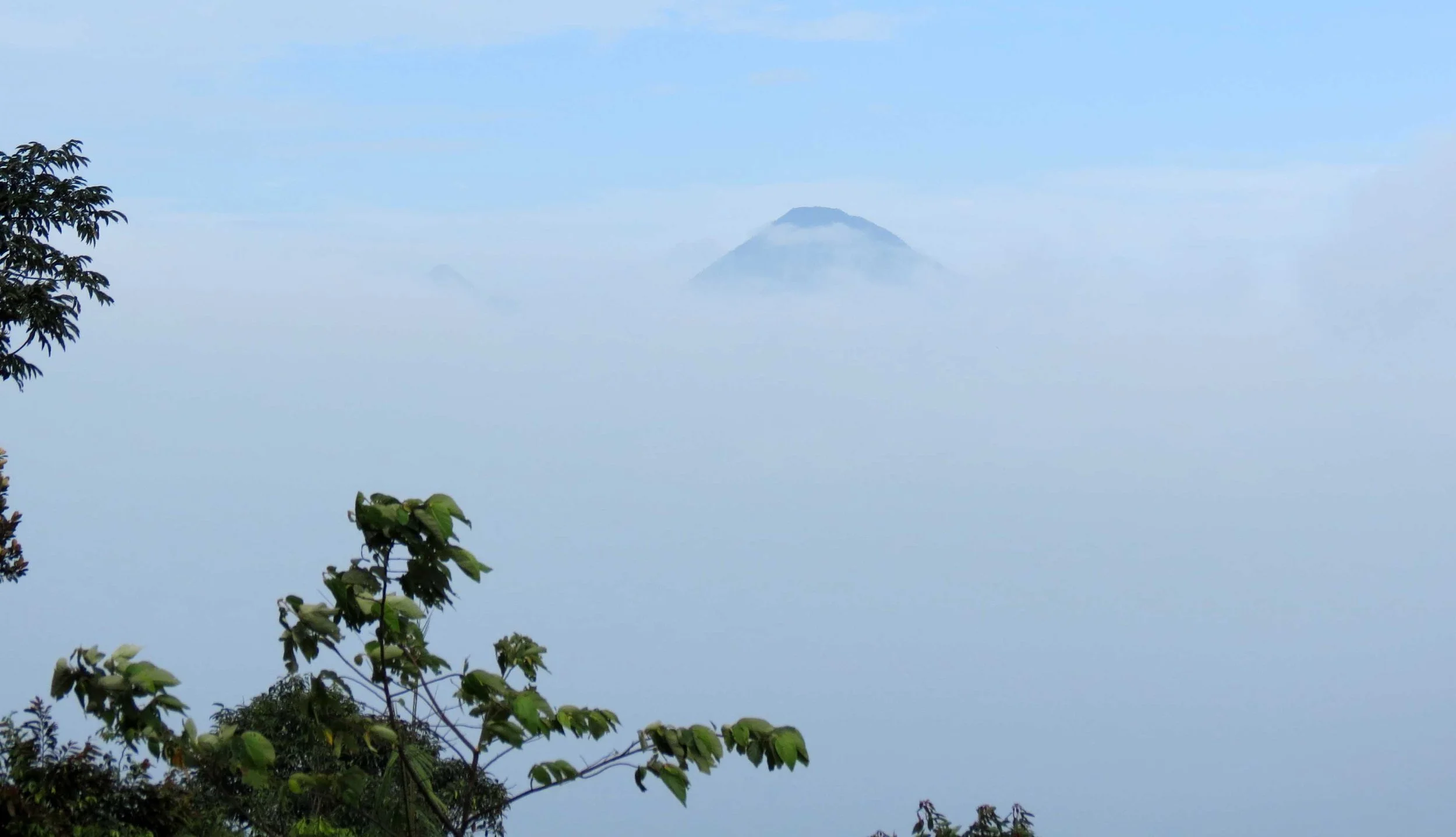 SON TRA PENINSULA - COKIE'S IMAGES (21).JPG