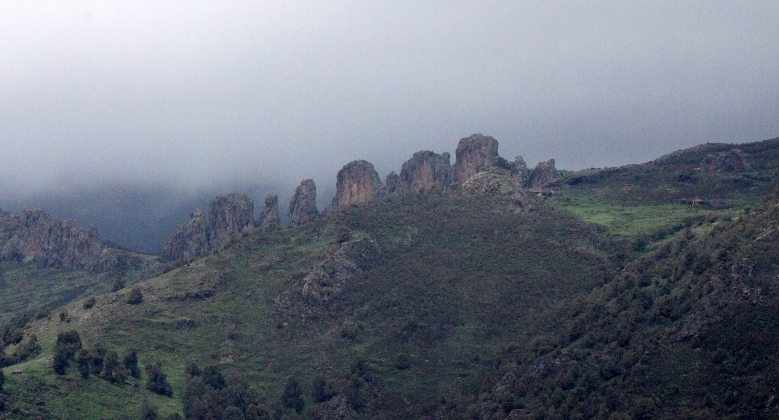 BALE MOUNTAINS NATIONAL PARK ETHIOPIA (27).JPG