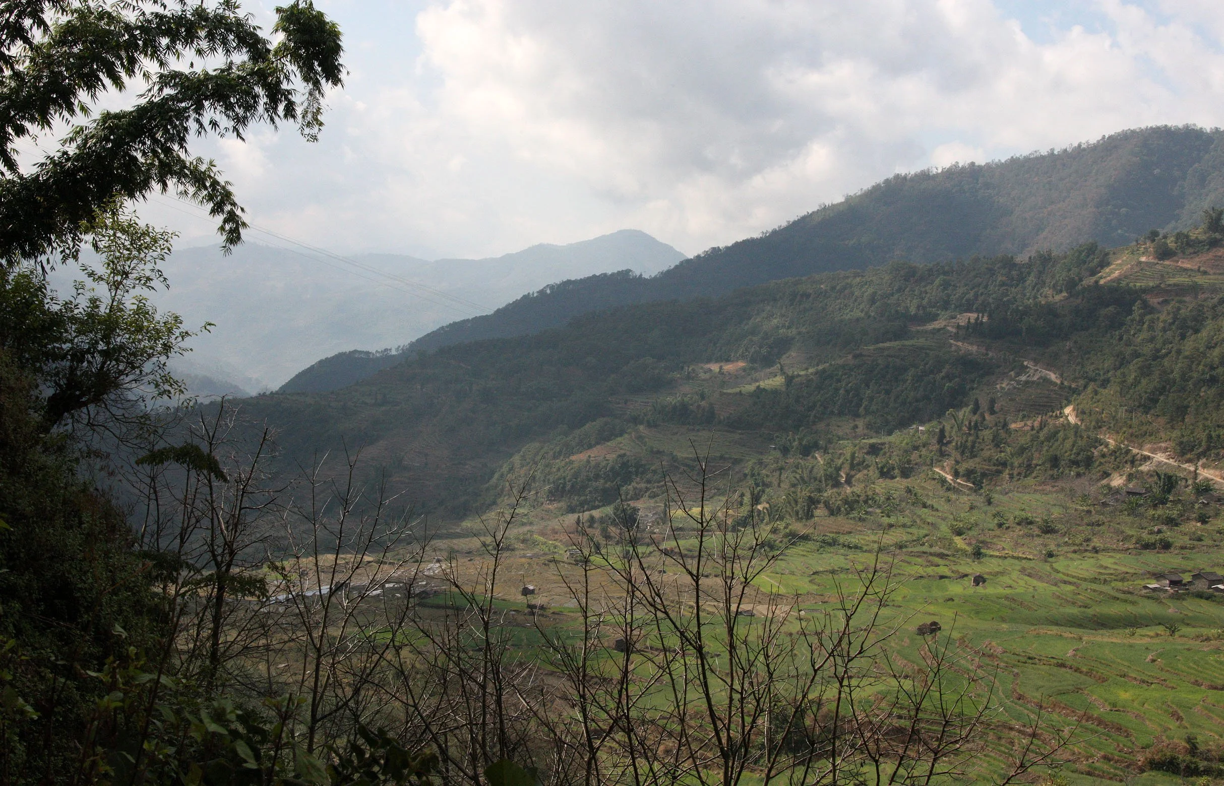 YUNNAN - WULIANGSHAN NATURE RESERVE AND SURROUNDING REGION (46).JPG