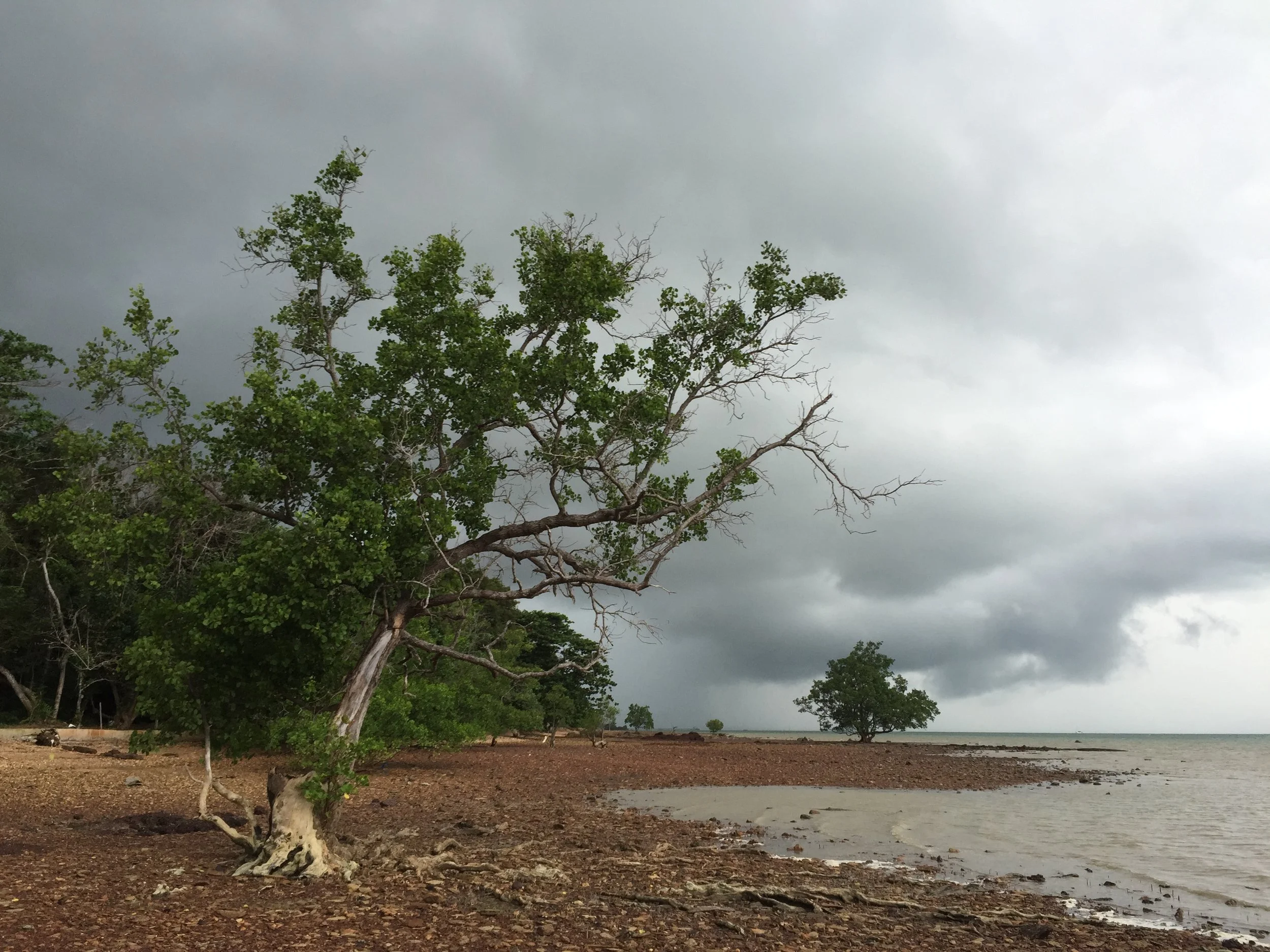 2015 Koh Lanta Garden & Nature (226).JPG