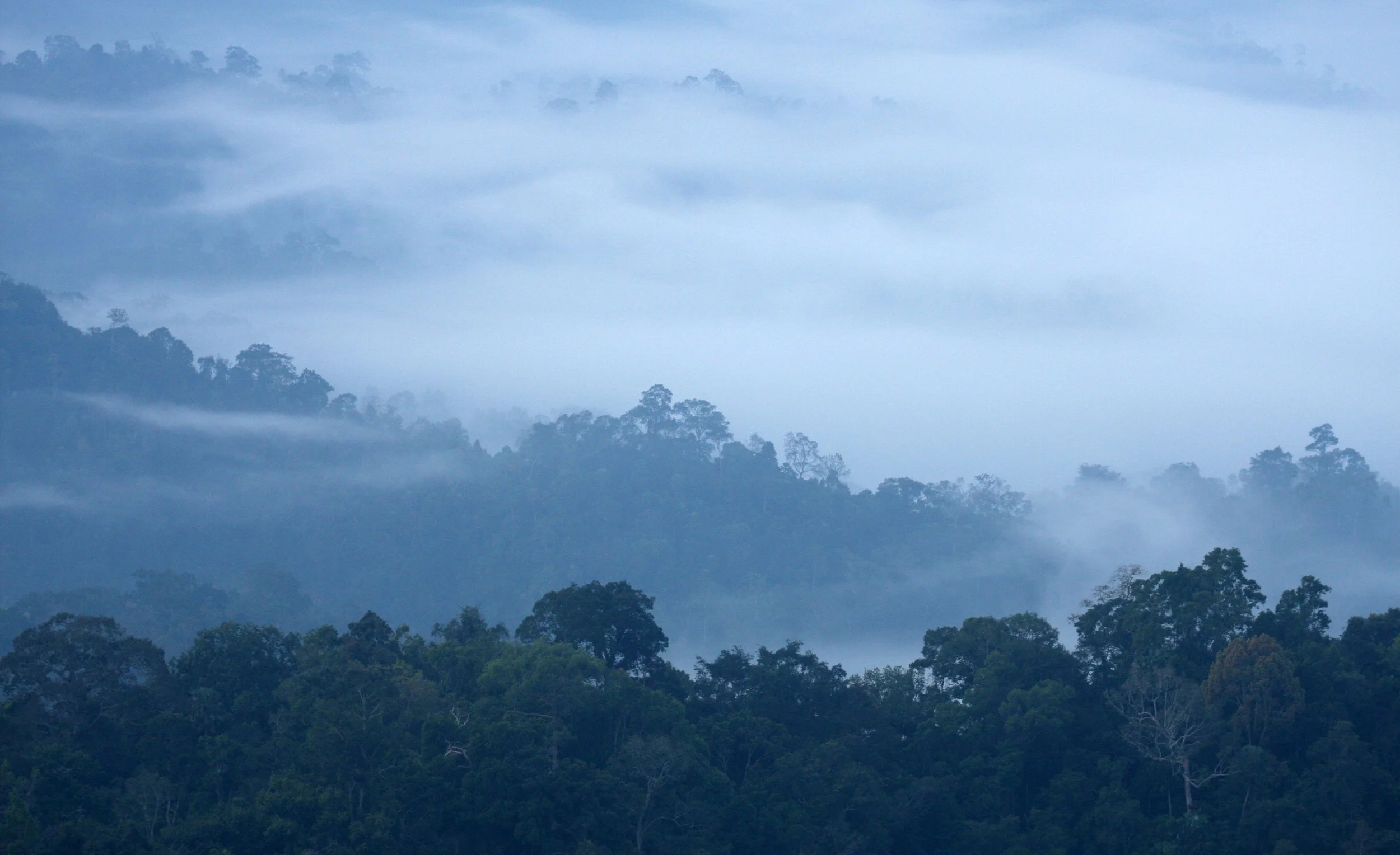 KAENG KRACHAN NATIONAL PARK THAILAND - THALE MOG (5).JPG