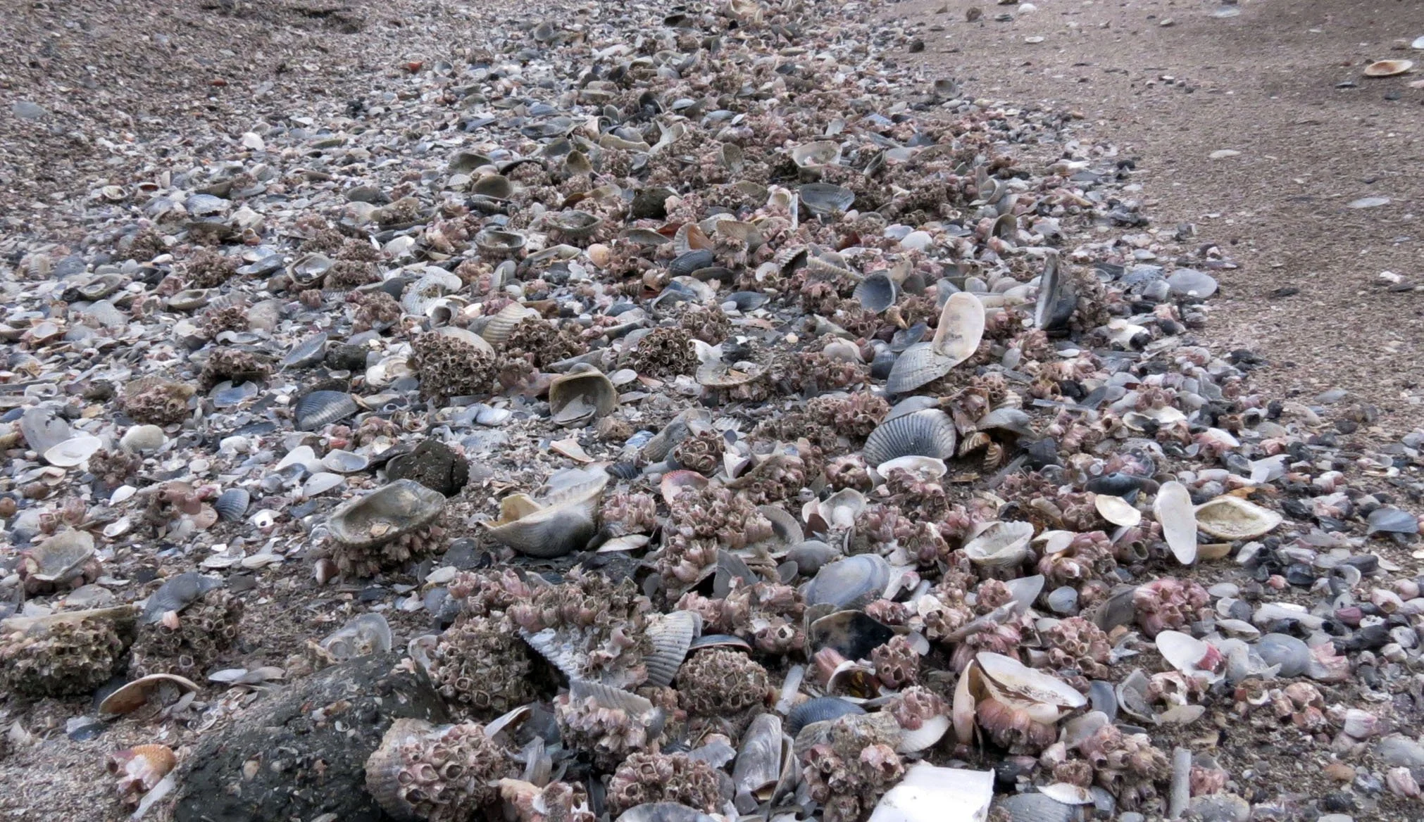 2013 Cha'am and Petchaburi with Family & Friends (73).JPG