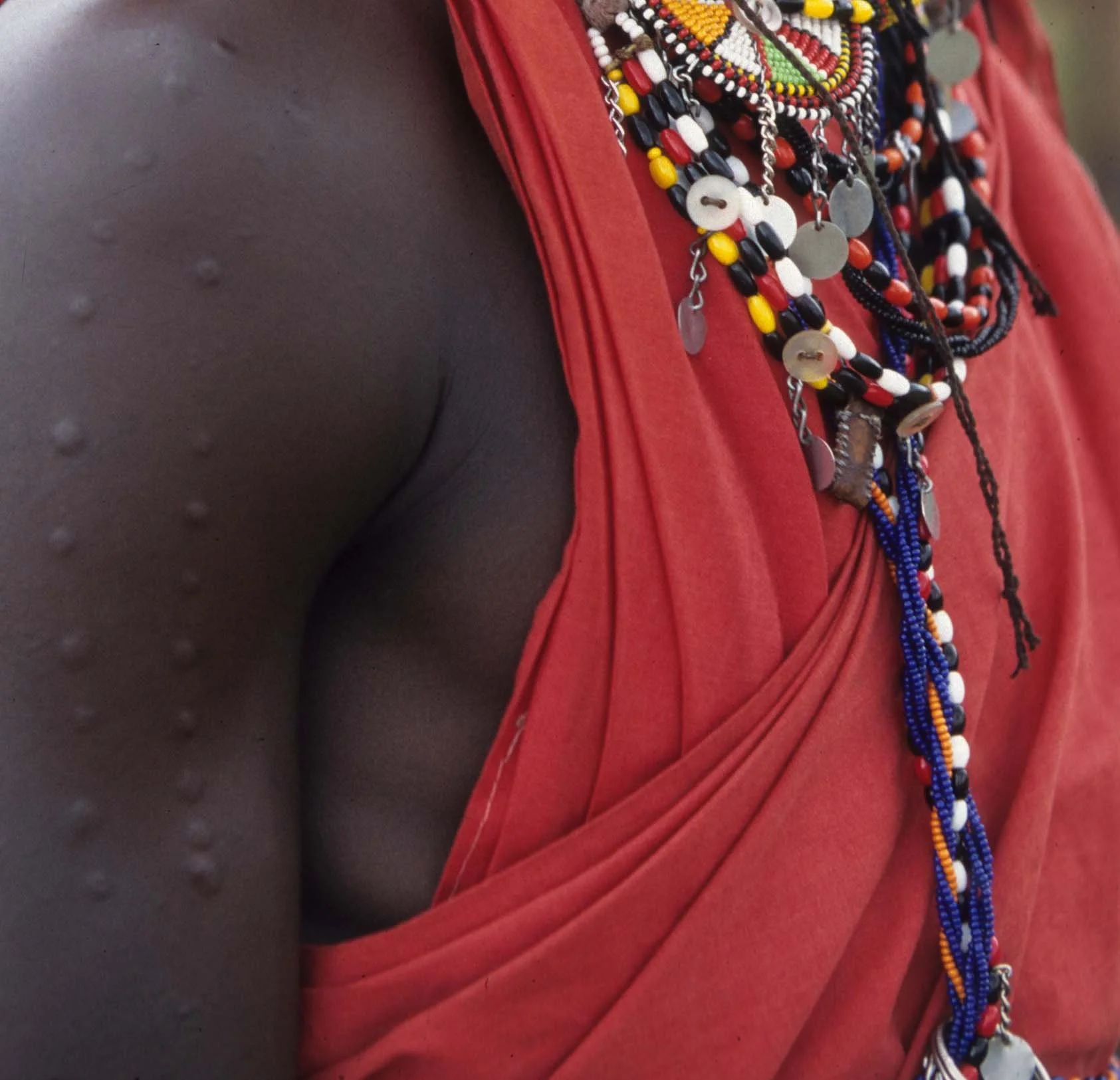 MASAI - WORRIOR Q1.jpg