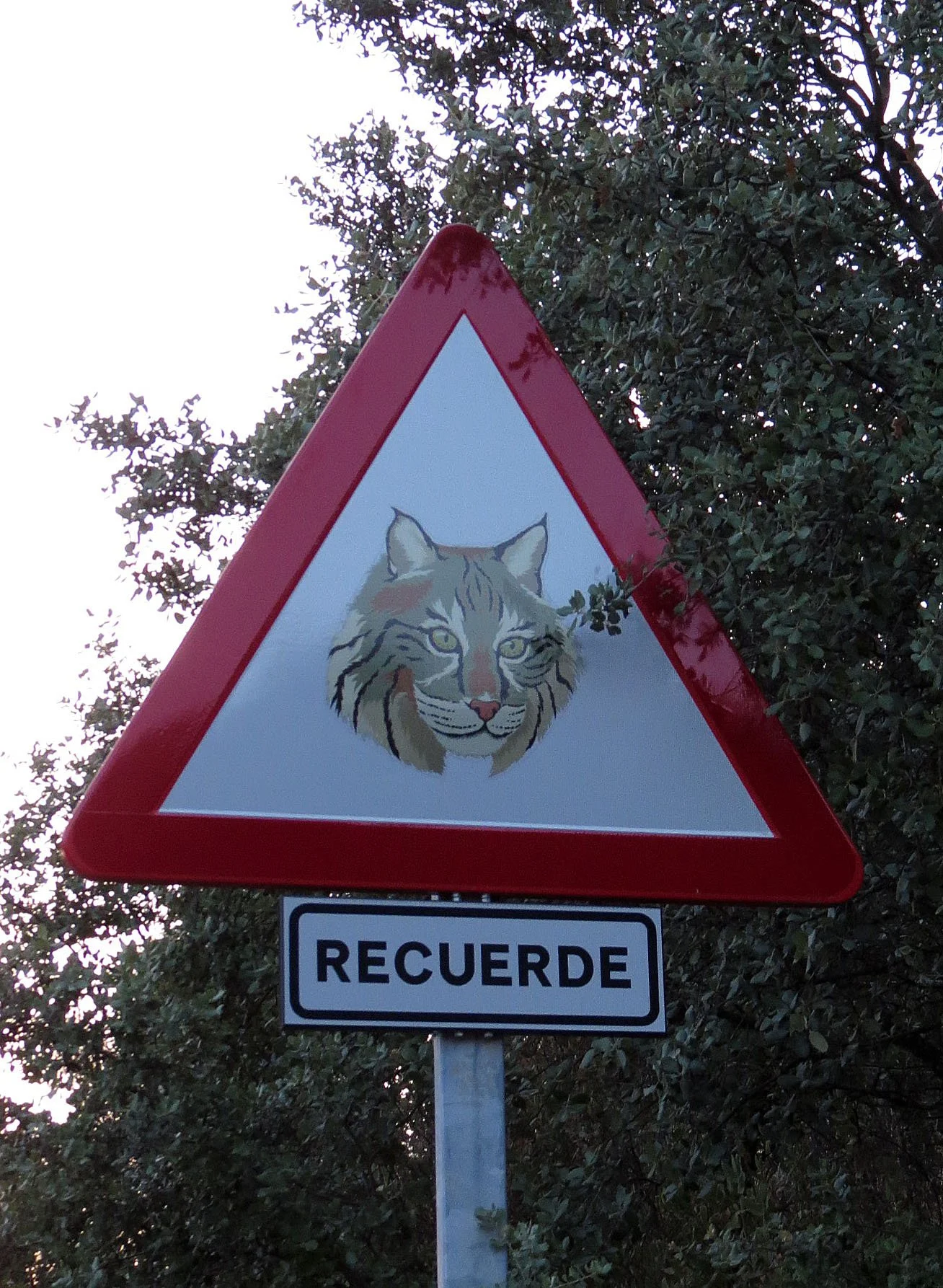 SIERRA DE ANDUJAR NATIONAL PARK SPAIN (5).JPG