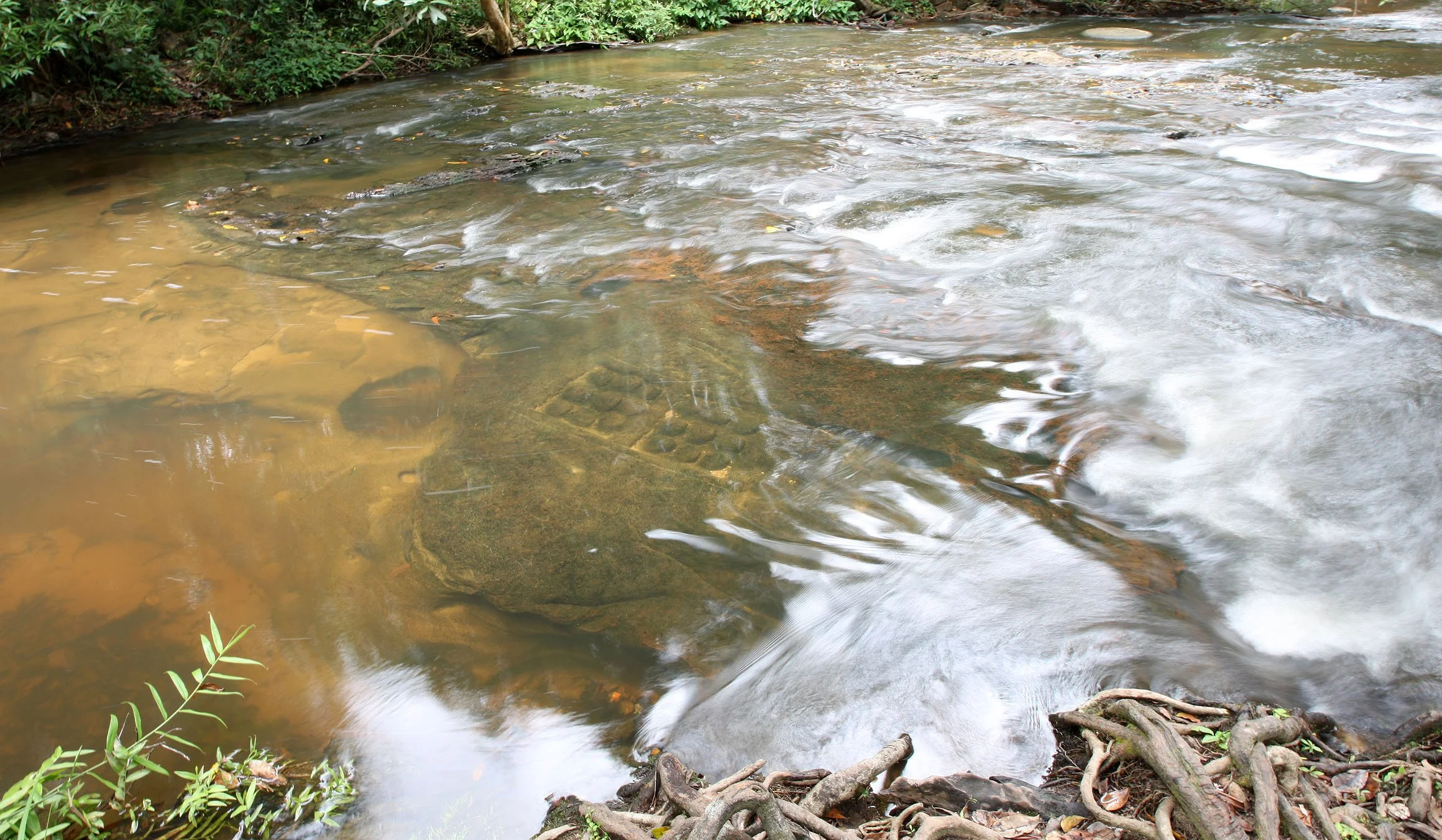 KULEN MOUNTAIN - 1000 LINGHAS - CAMBODIA - JULY 2010 (12).JPG