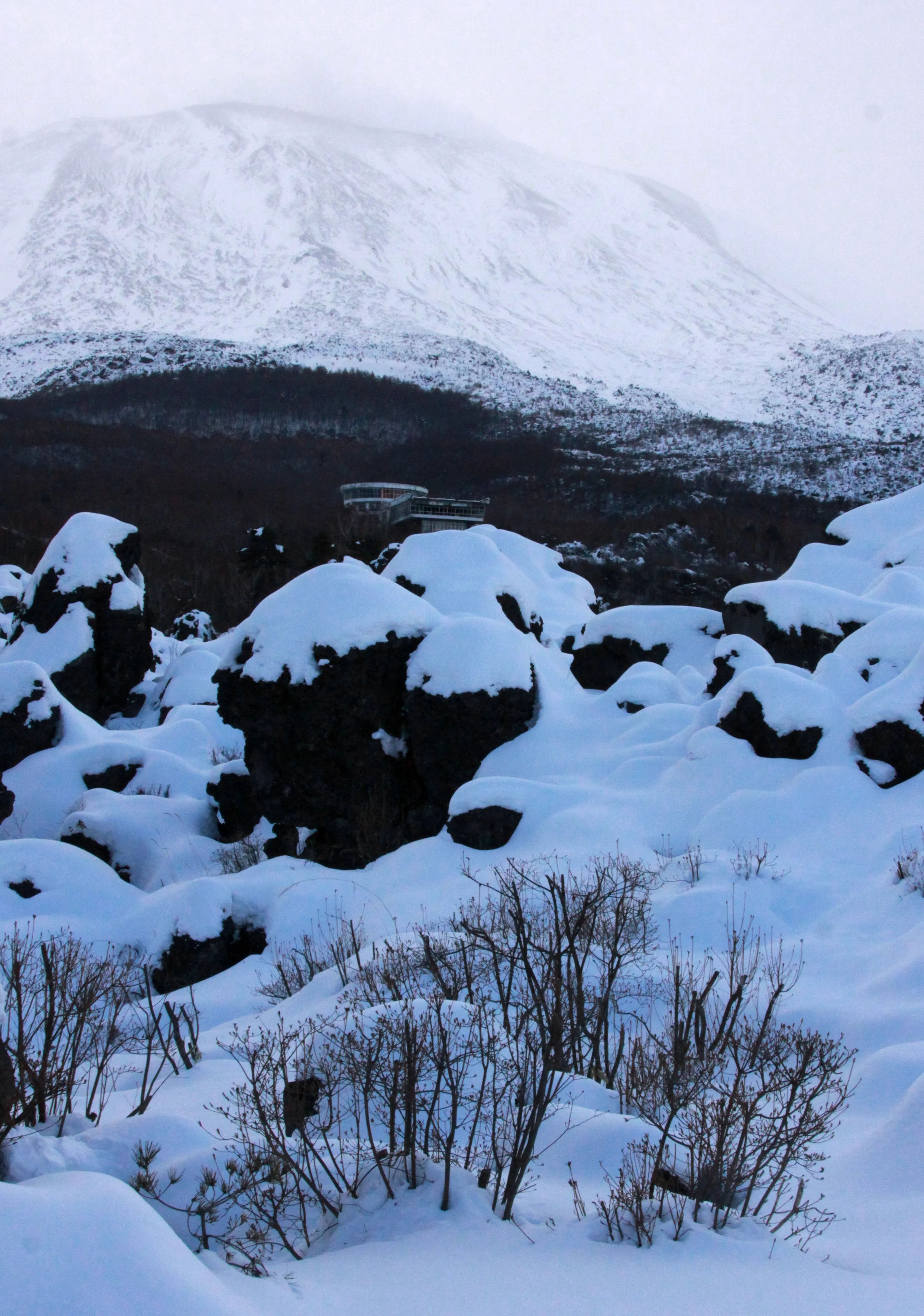 MOUNT ASAMA - JOSHIN'ETSUKOGEN NATIONAL PARK JAPAN (73).JPG