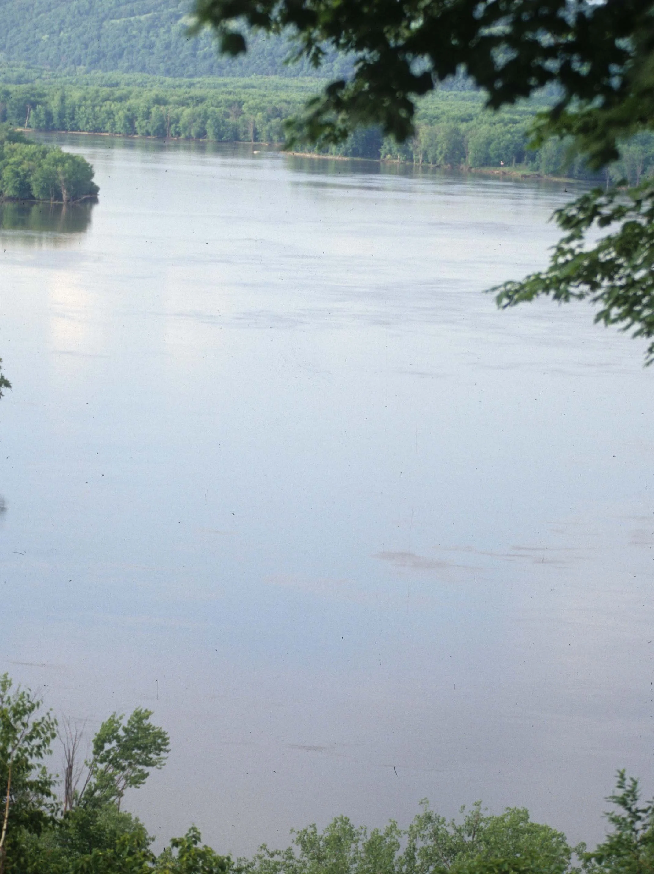 GREAT PLAINS - MISSISSIPPI RIVER ILLINOIS BORDER.jpg