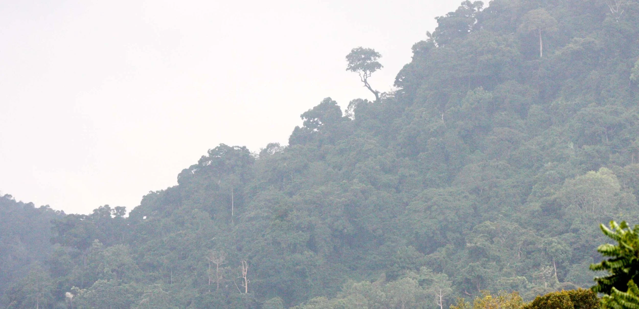 2009 Promluk Property Views (5).JPG