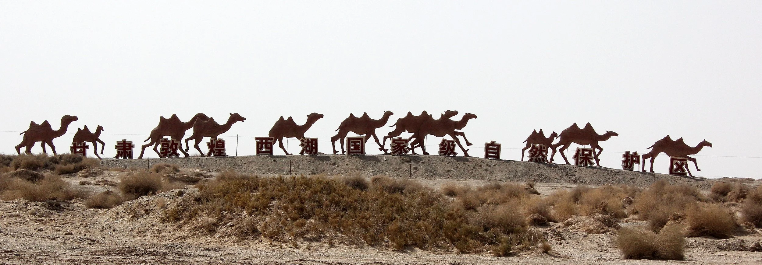 GANSU DUNHUANG XIFU NATIONAL NATURE RESERVE - GANSU CHINA (2).JPG
