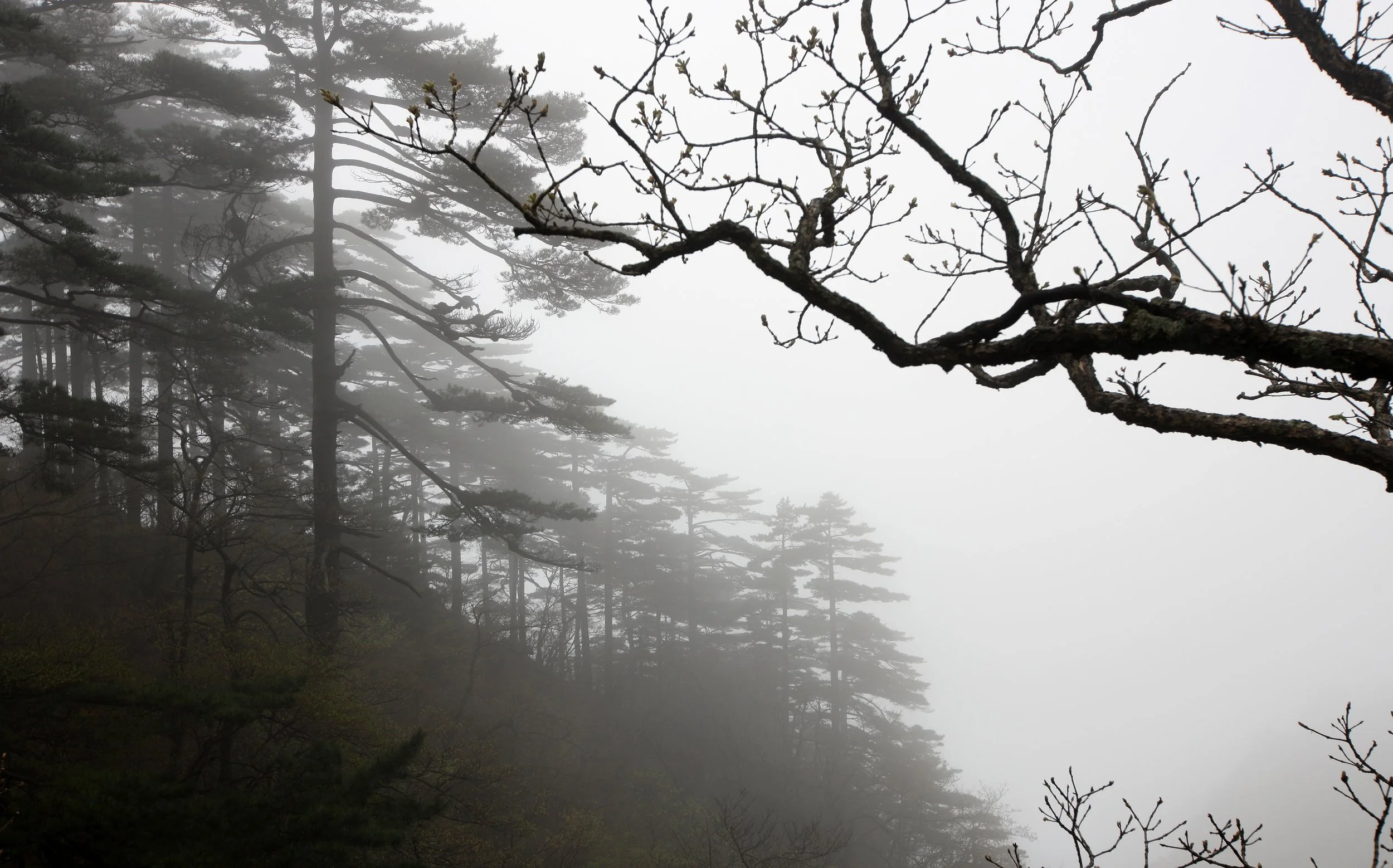 HUANGSHAN NATIONAL PARK ANHUI PROVINCE CHINA (210).JPG